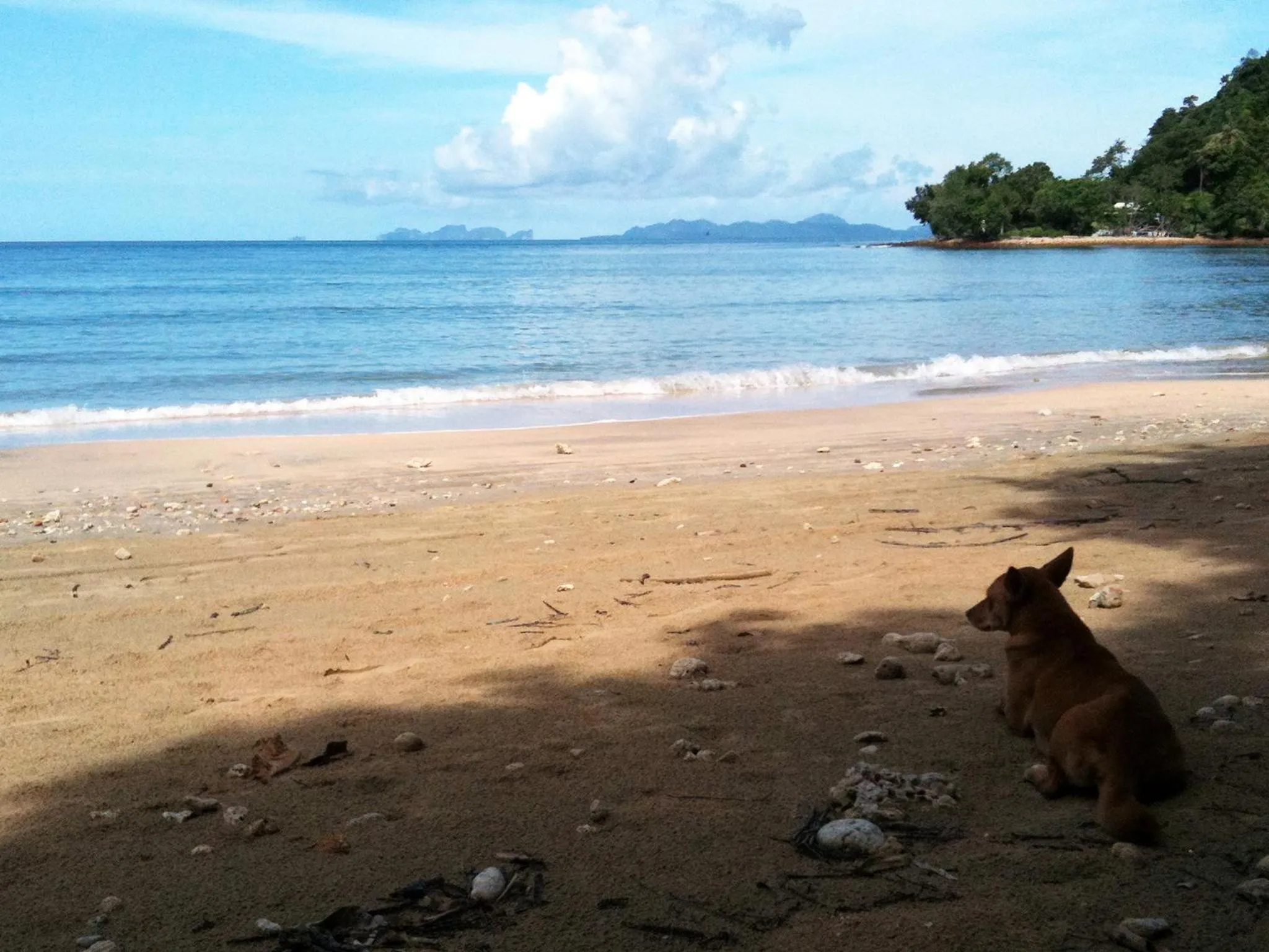 Natural landscape in Bonhomie Beach Cottage
