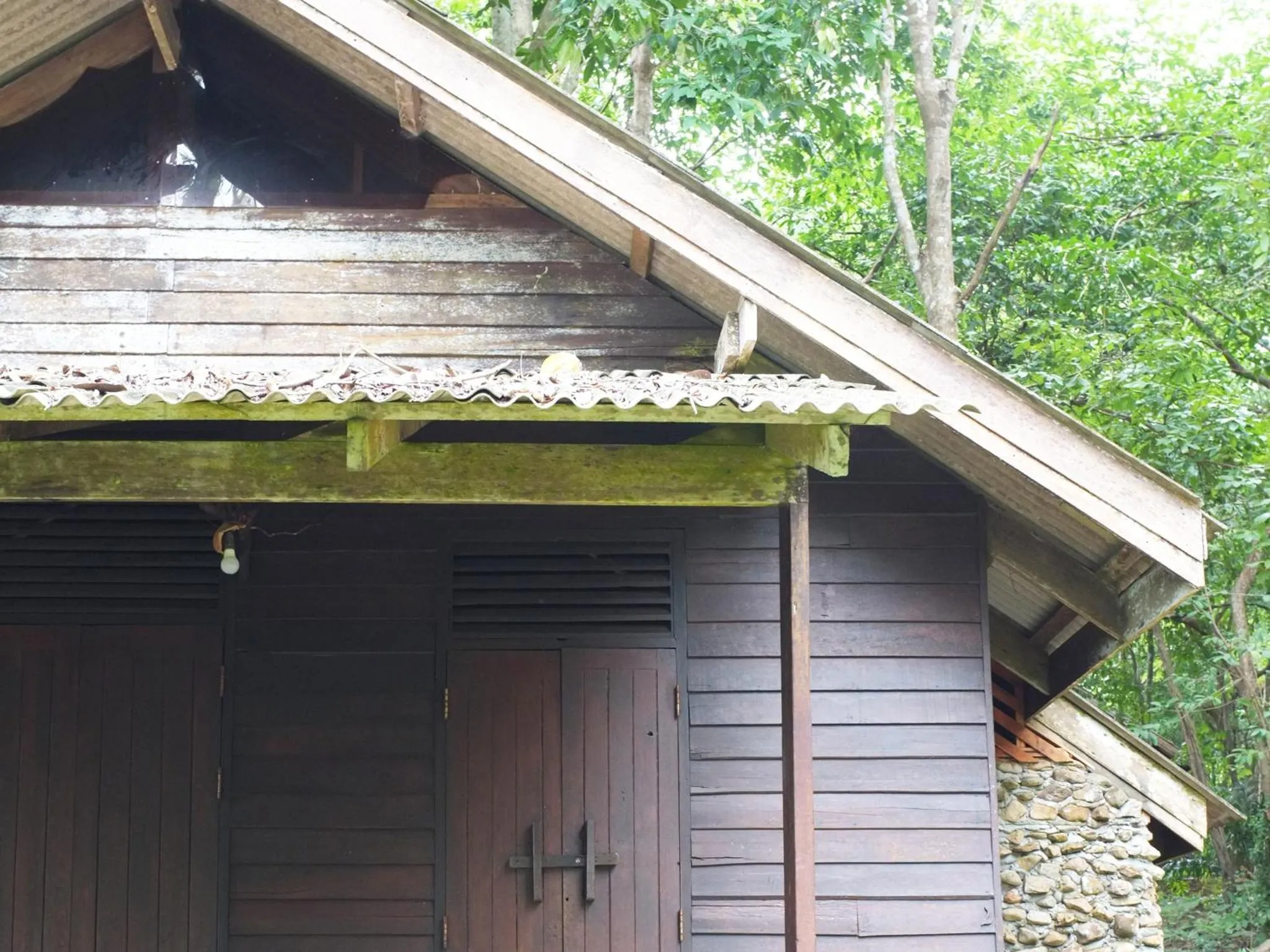 Property building in Bonhomie Beach Cottage
