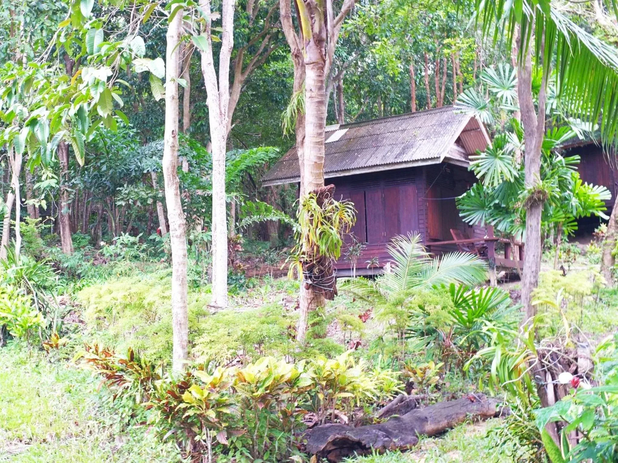 Property building in Bonhomie Beach Cottage