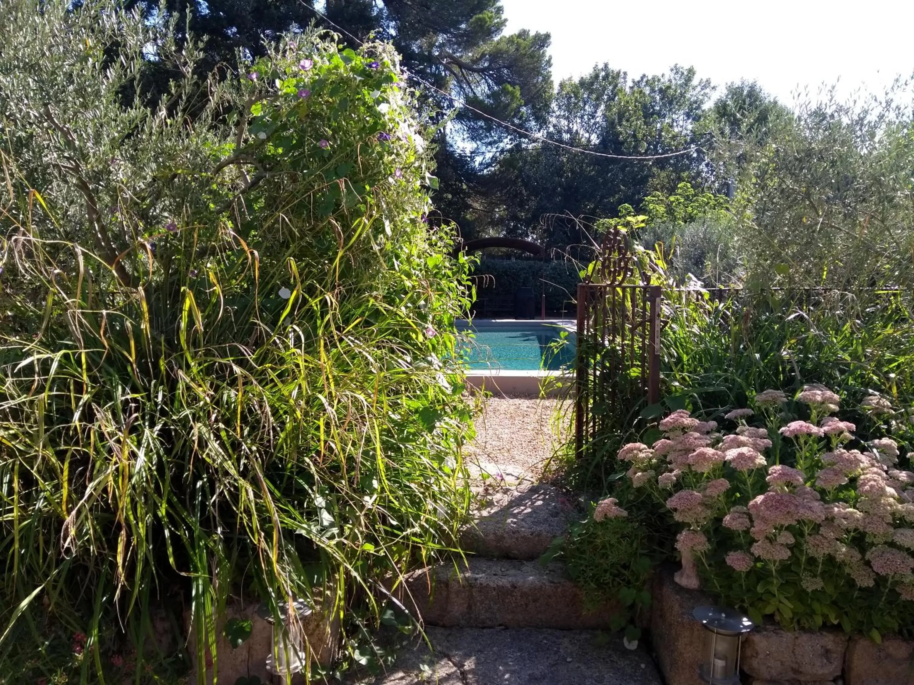 Garden in Mas de Camejean