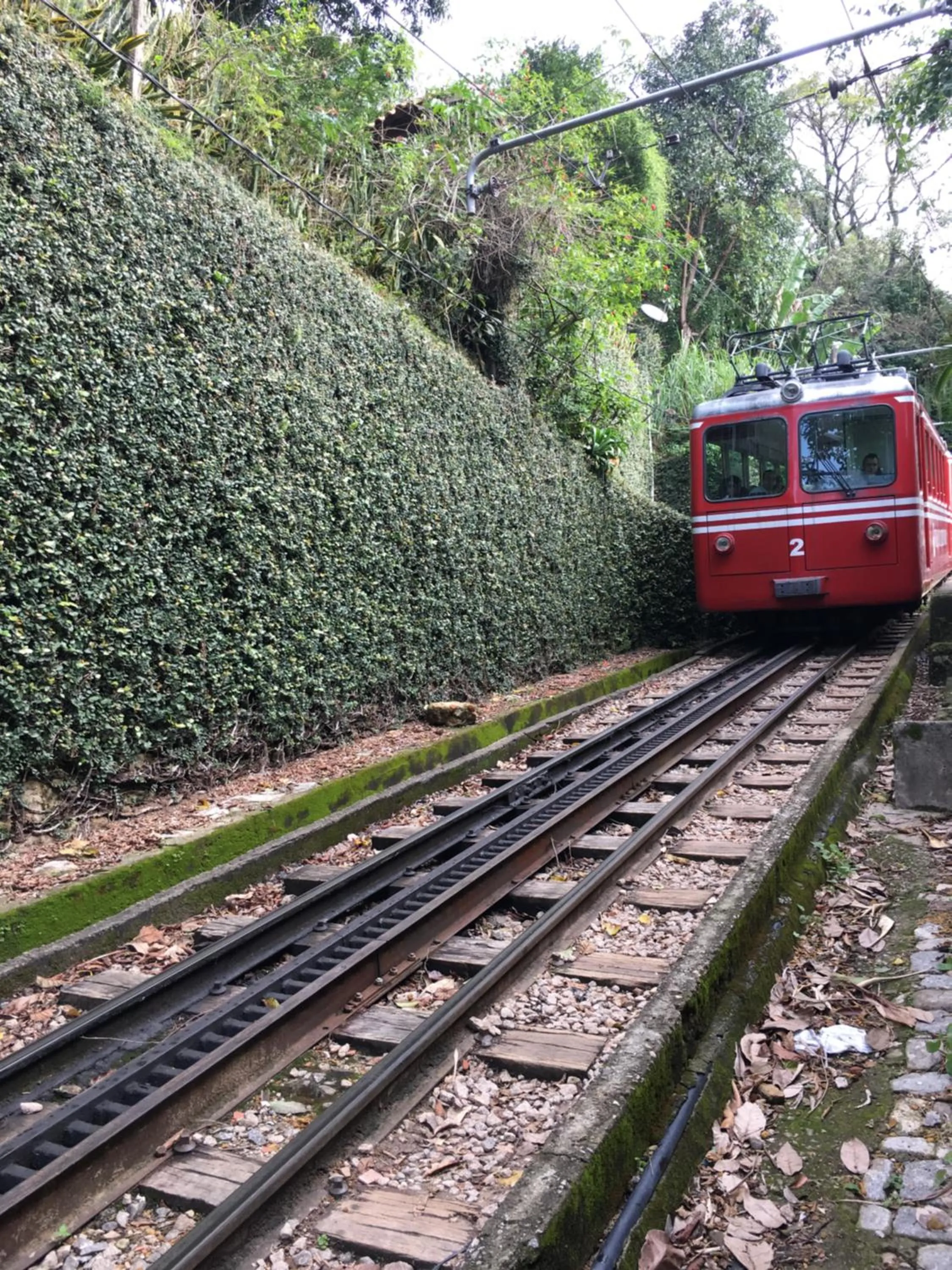 Natural landscape in Casa Caminho do Corcovado - Pet friendly
