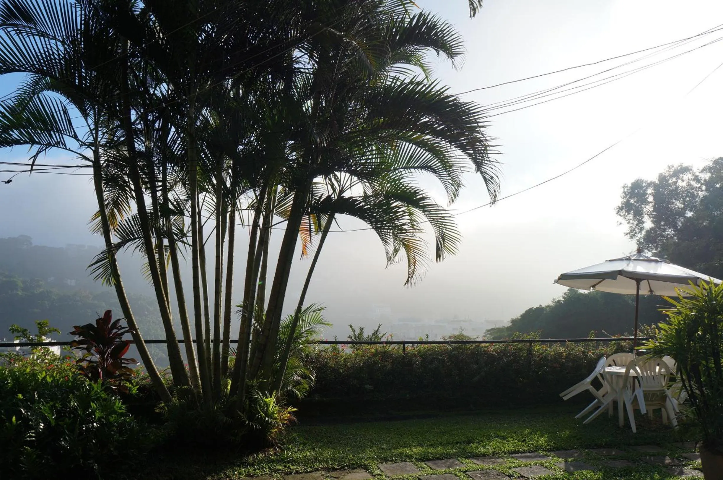 Garden in Casa Caminho do Corcovado - Pet friendly