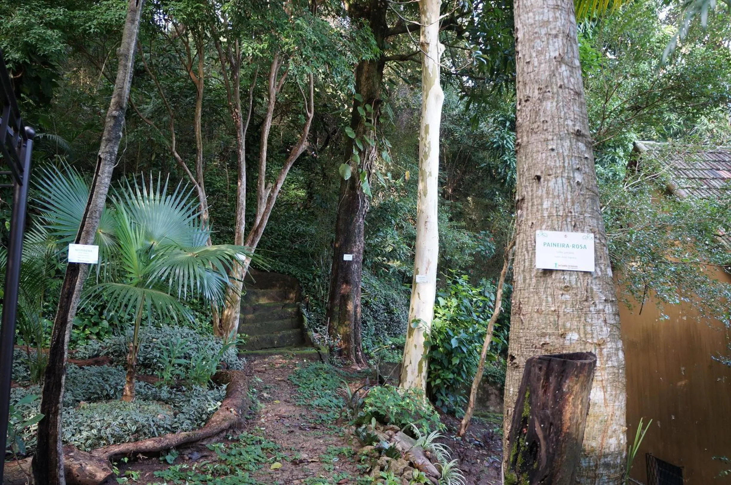 Hiking in Casa Caminho do Corcovado - Pet friendly