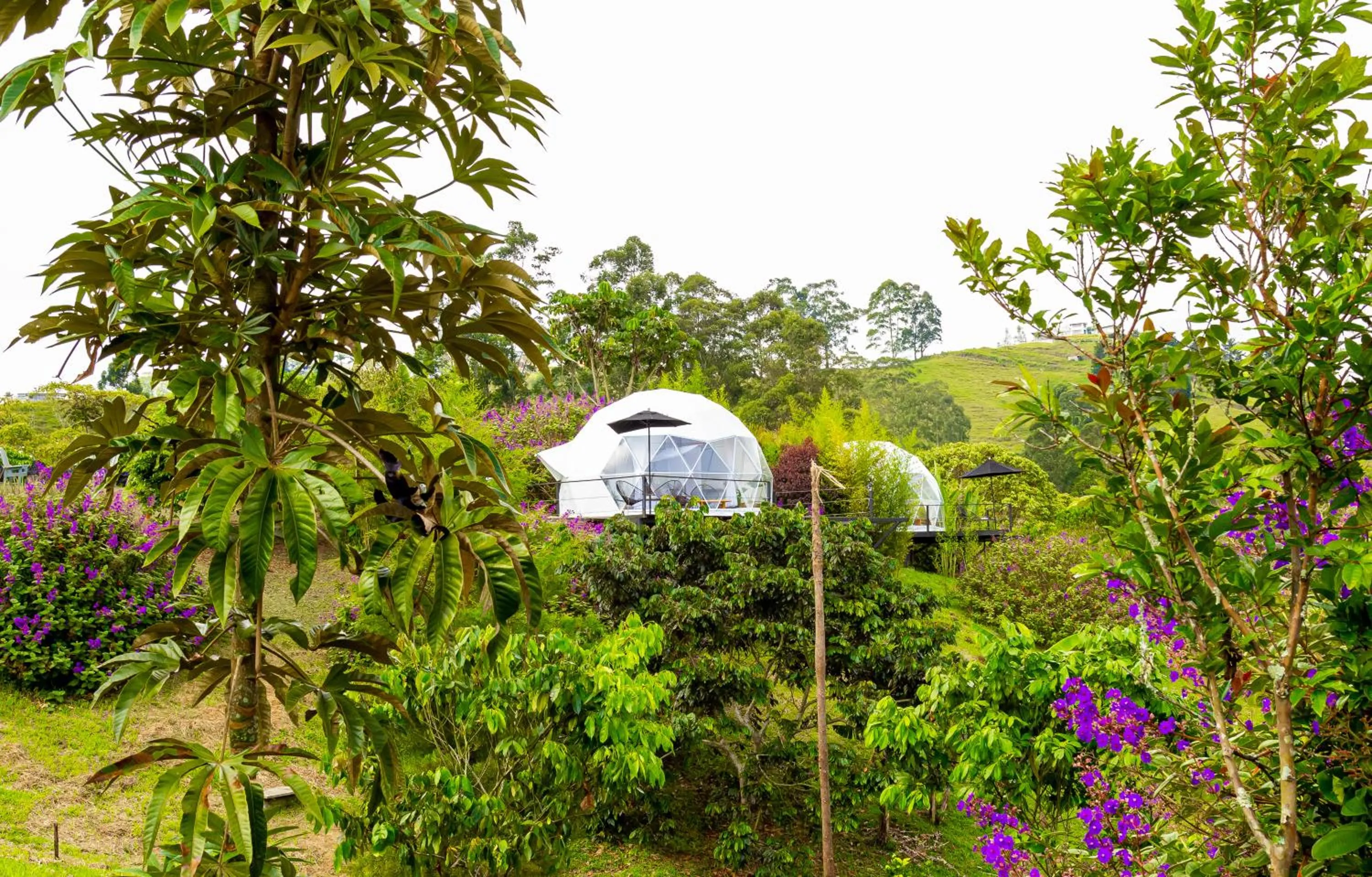 Ecohotel Monte Tierra Habitaciones y Glamping