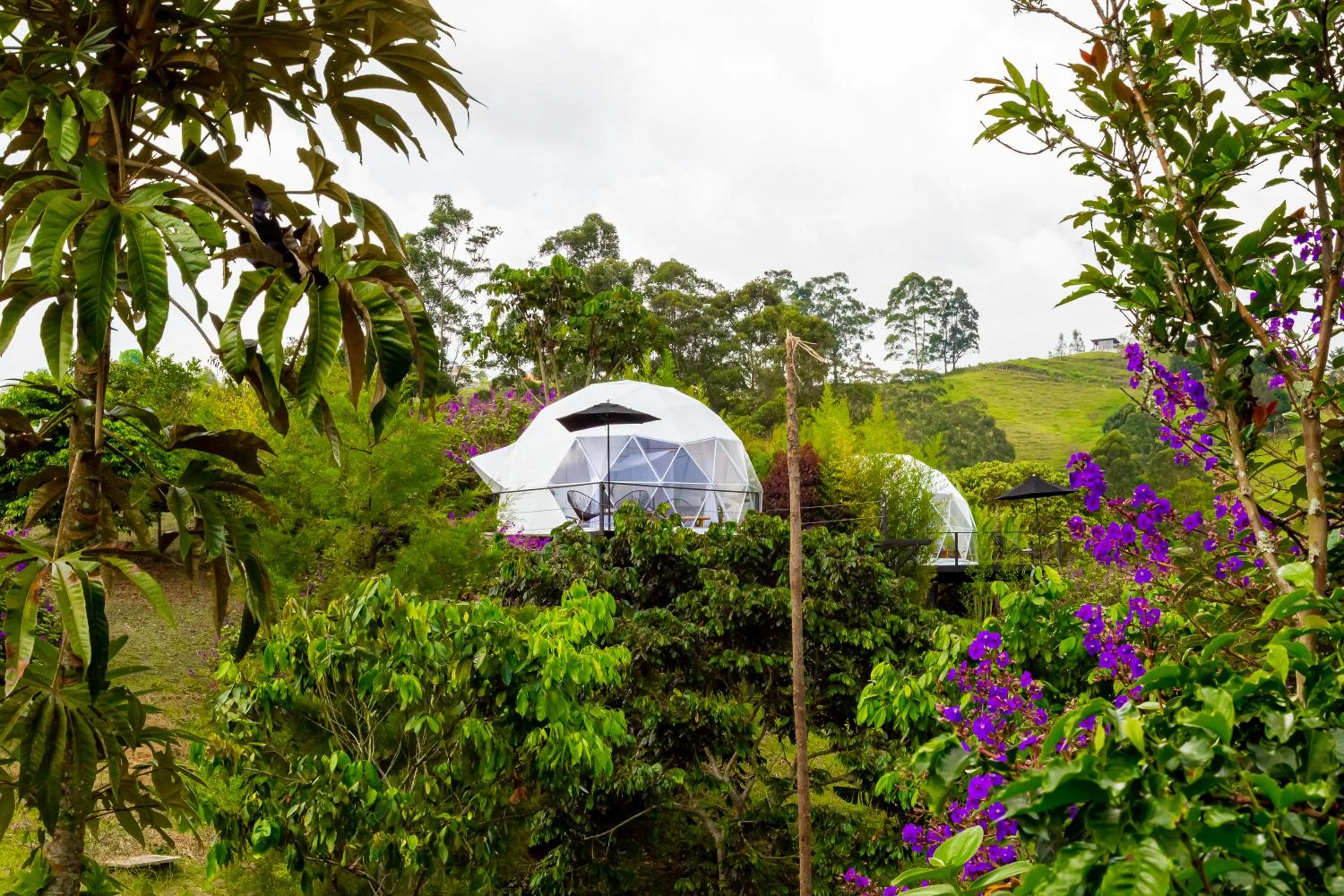 Ecohotel Monte Tierra Habitaciones y Glamping