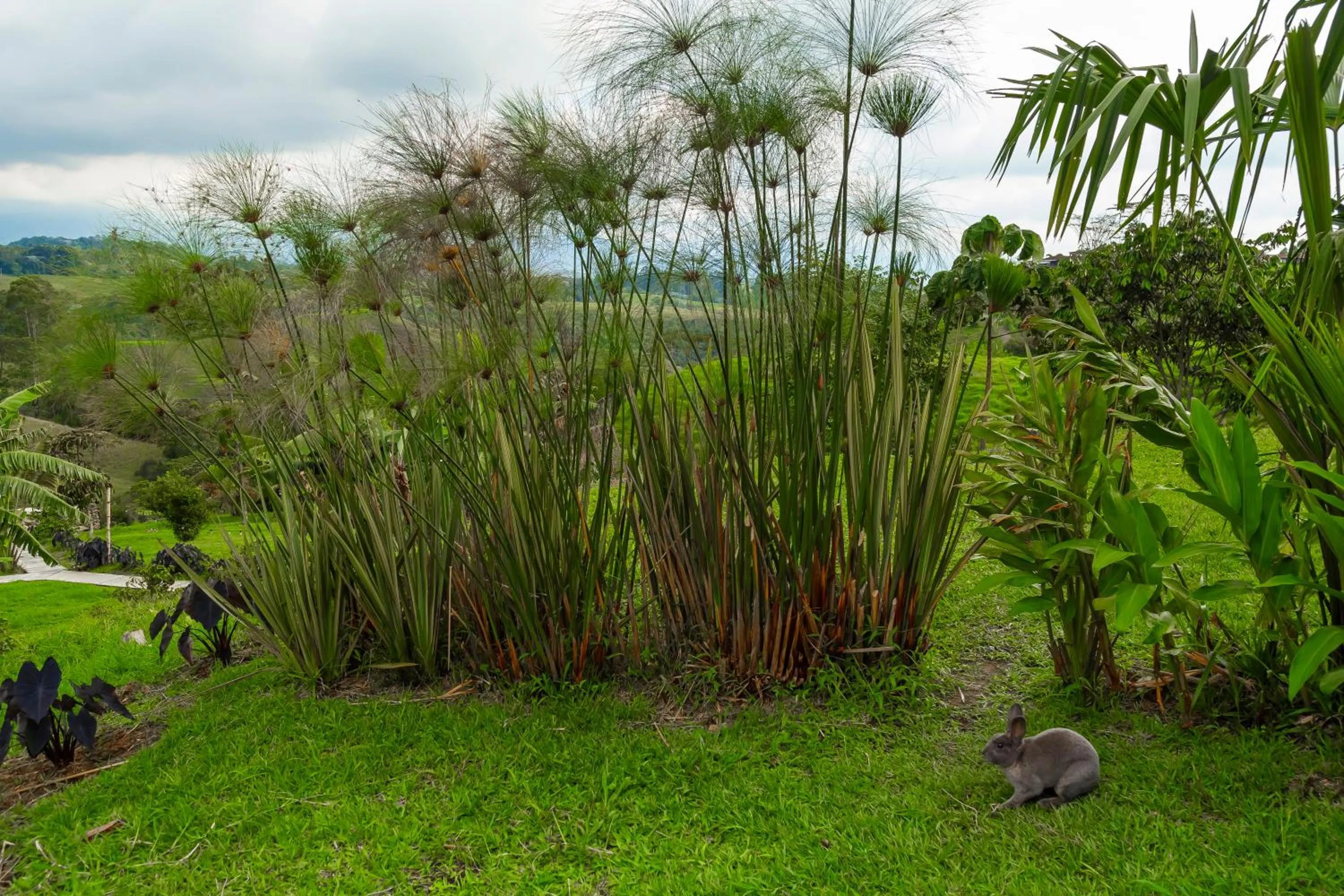 Ecohotel Monte Tierra Habitaciones y Glamping