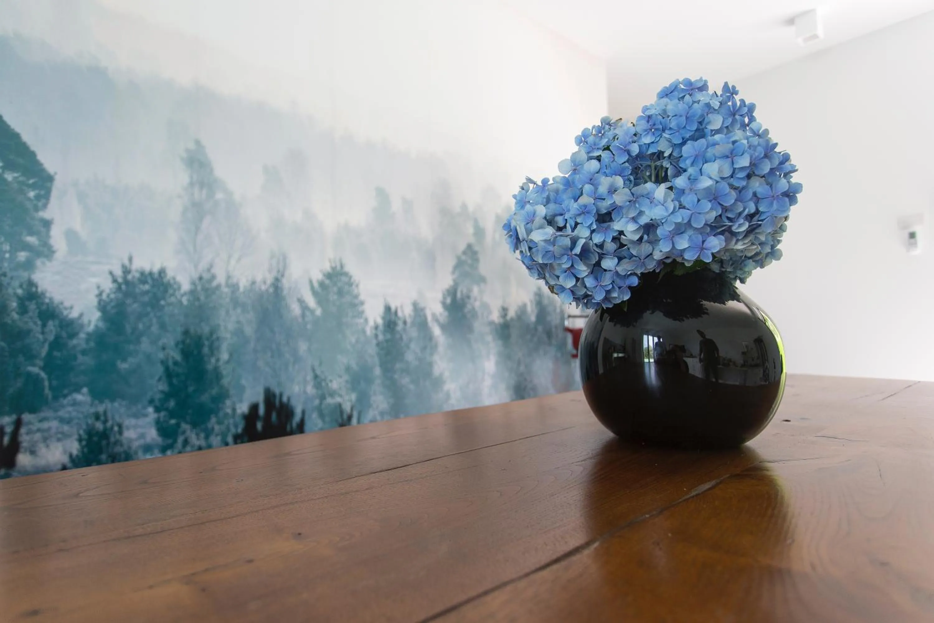 Aqua&Co Bellagio - Eco conscious stay