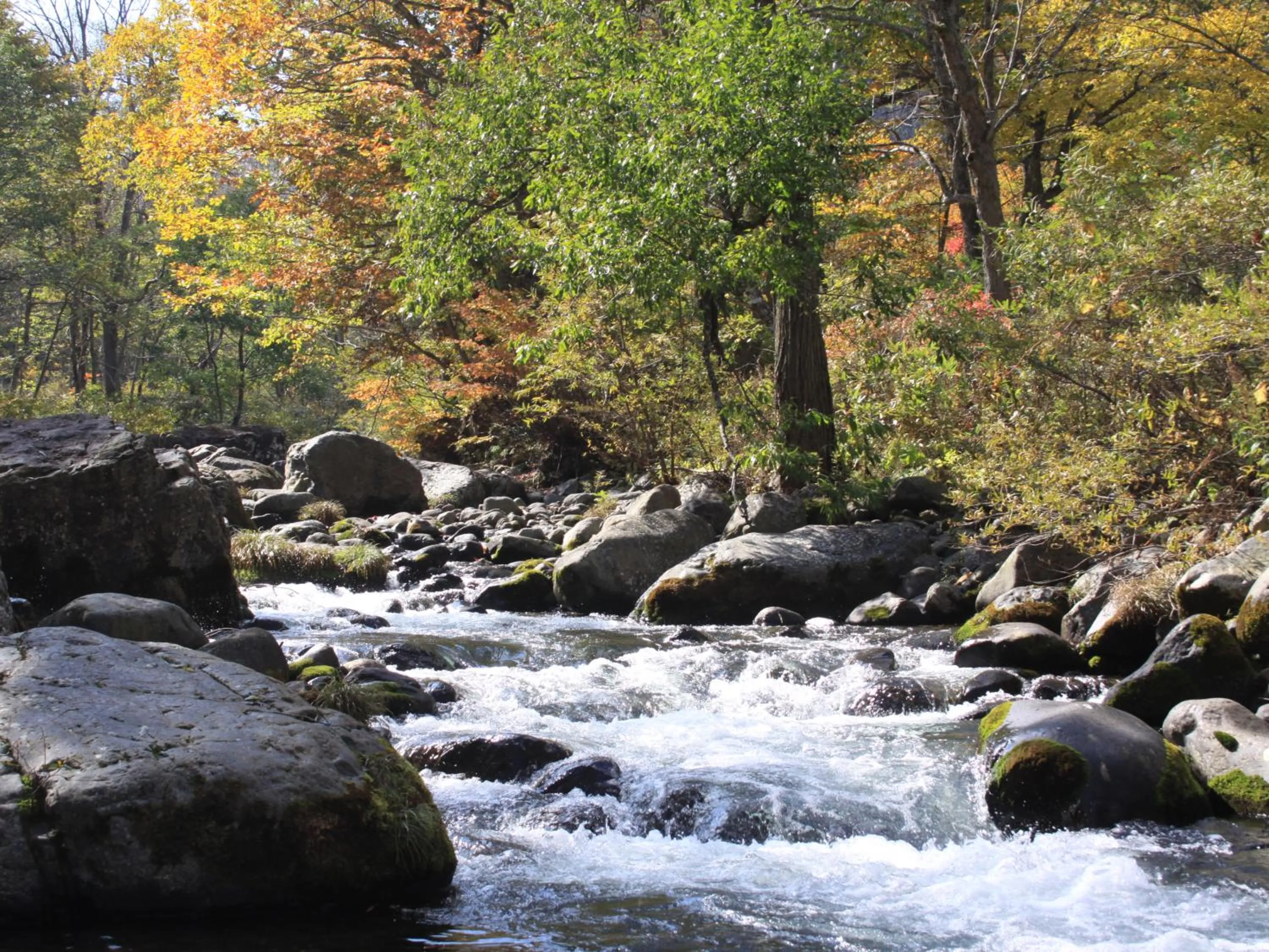 Nearby landmark in Ishinoyu Lodge