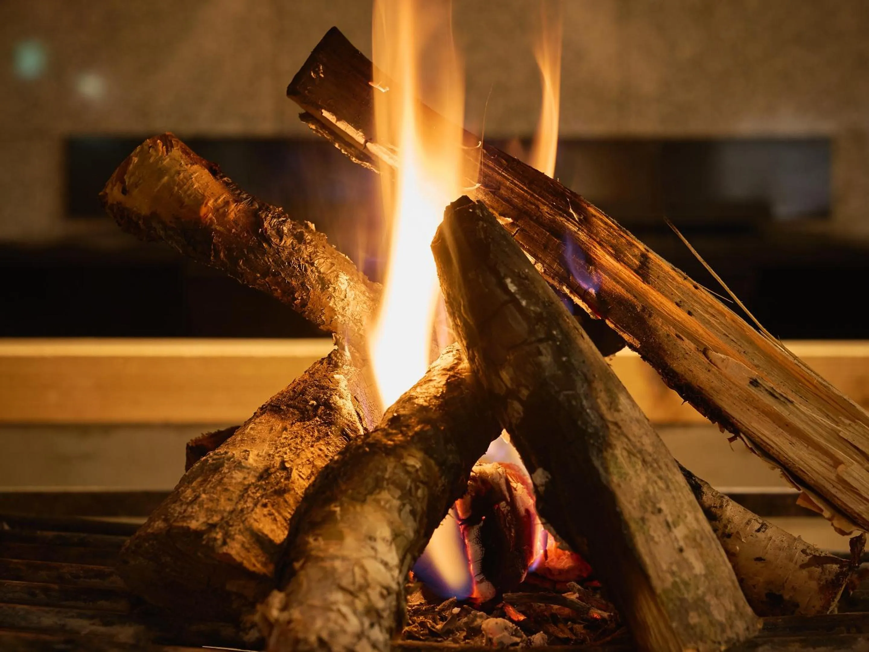 Restaurant/places to eat in Ishinoyu Lodge