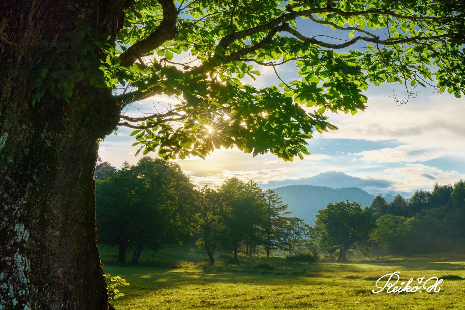 Off site in Ishinoyu Lodge