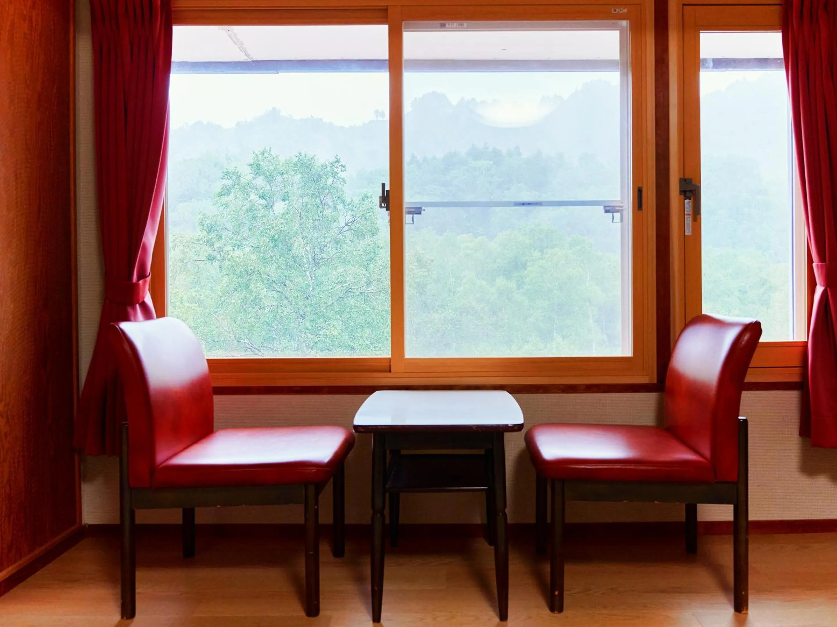 Photo of the whole room in Ishinoyu Lodge