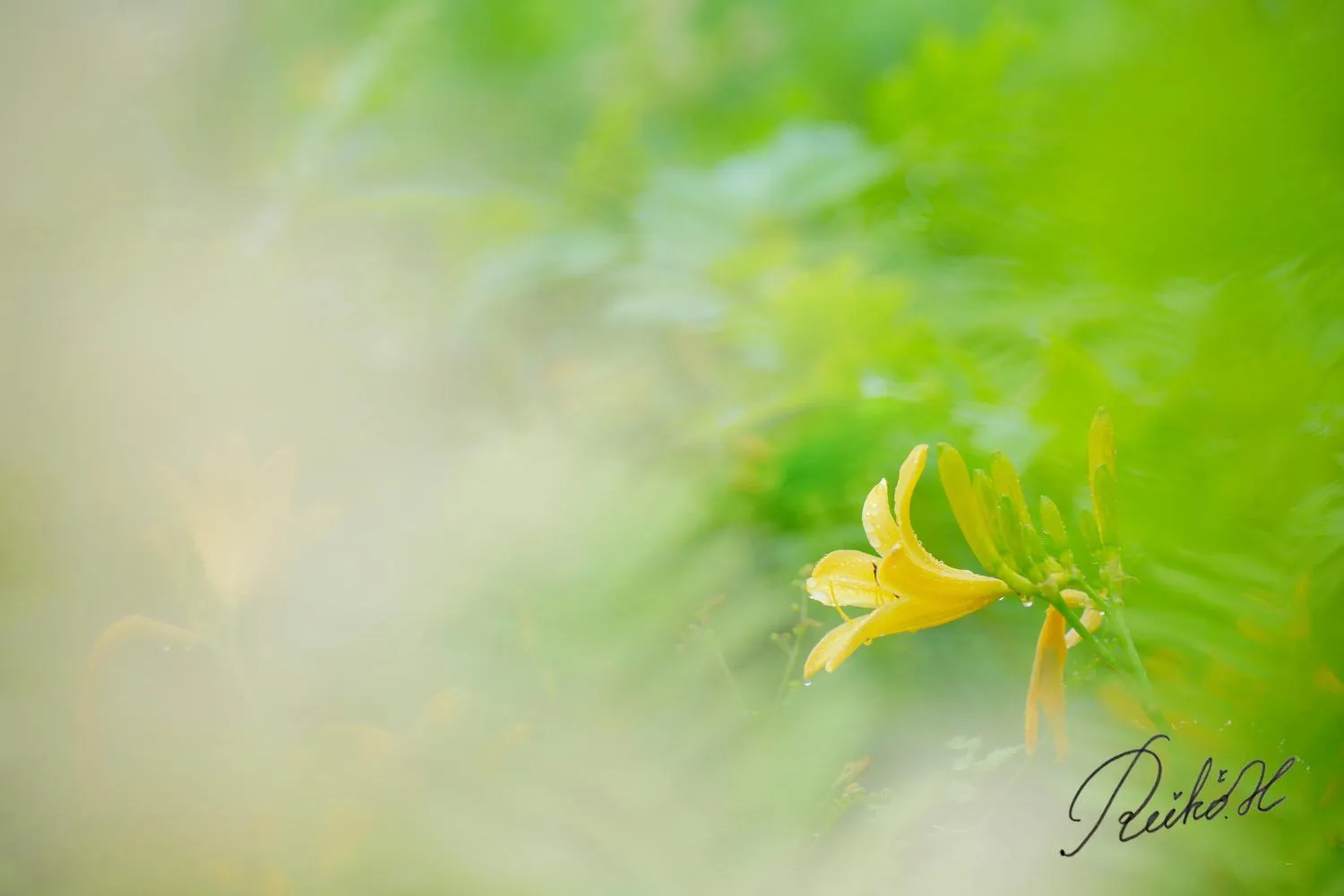 Off site in Ishinoyu Lodge