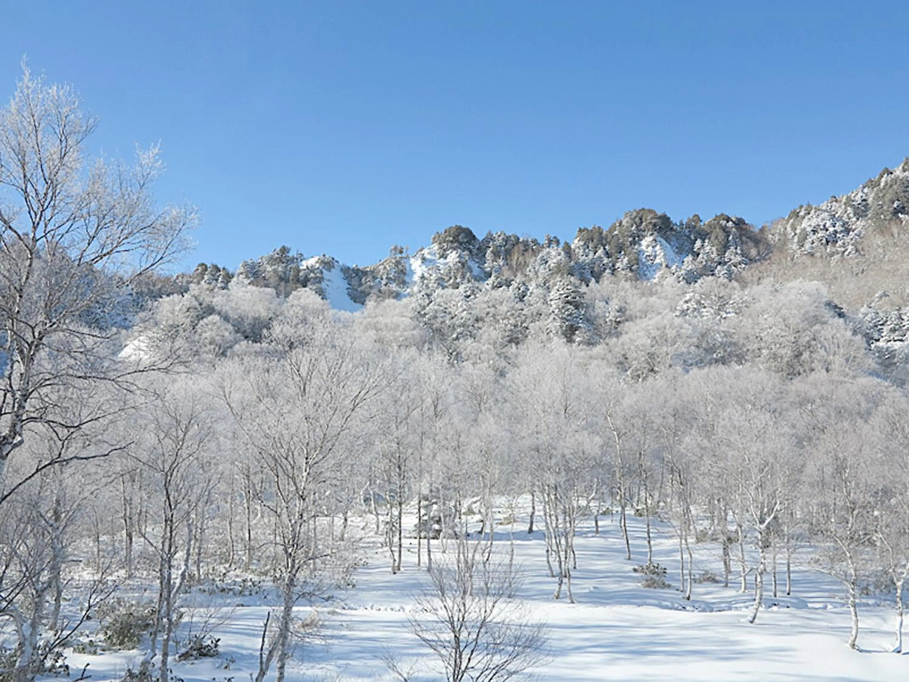 Nearby landmark in Ishinoyu Lodge
