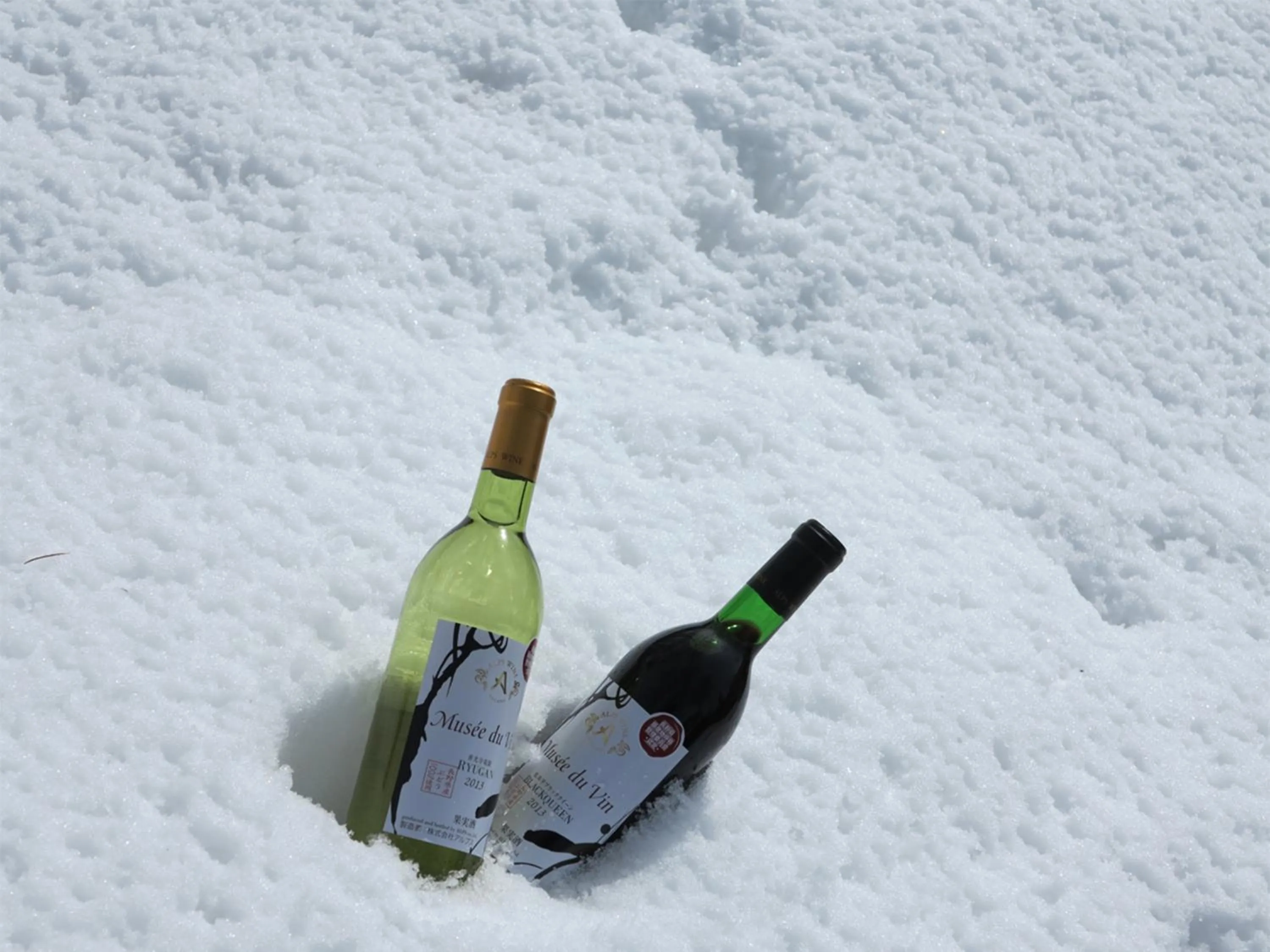 Winter in Ishinoyu Lodge