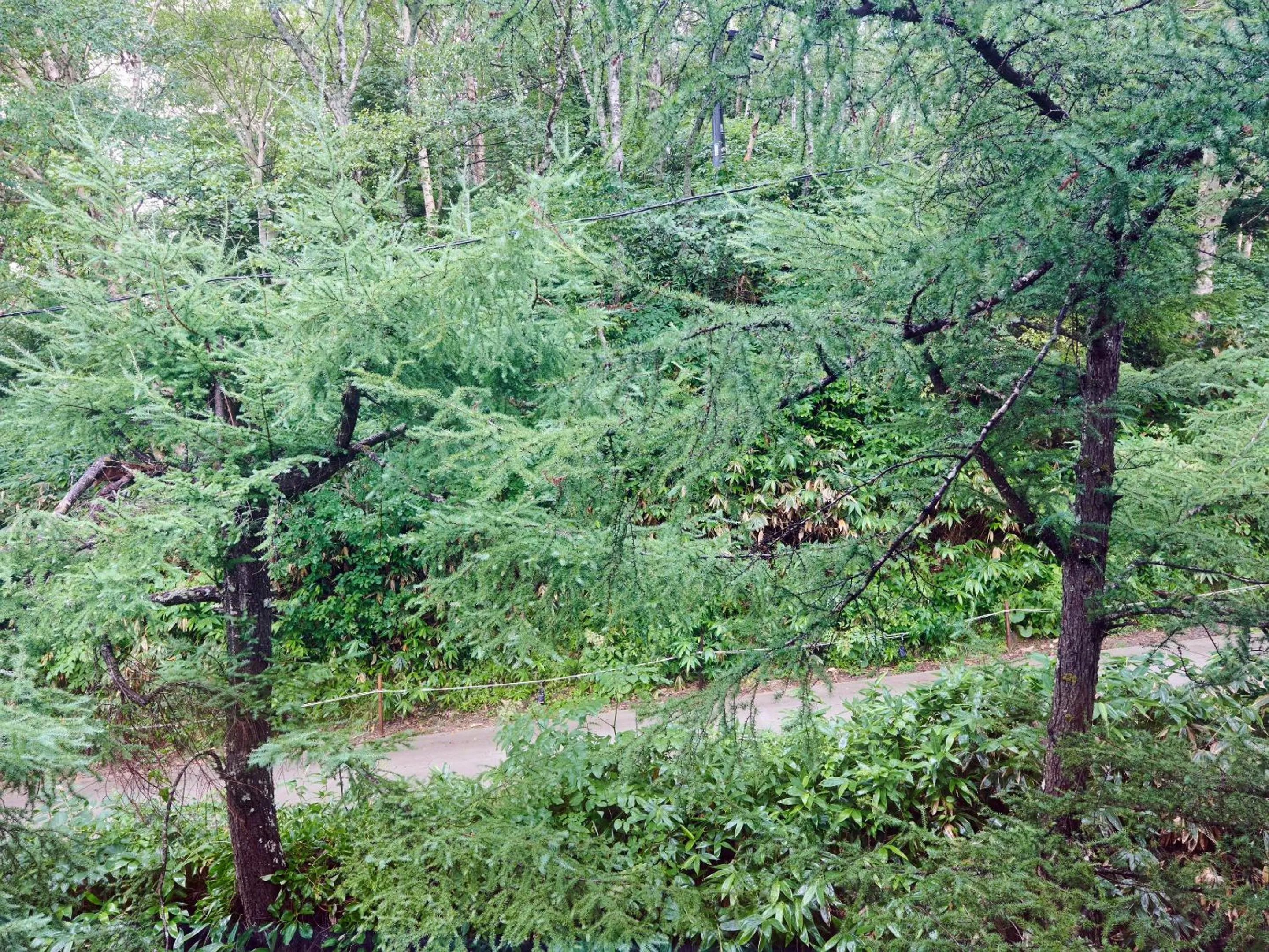 Natural landscape in Ishinoyu Lodge