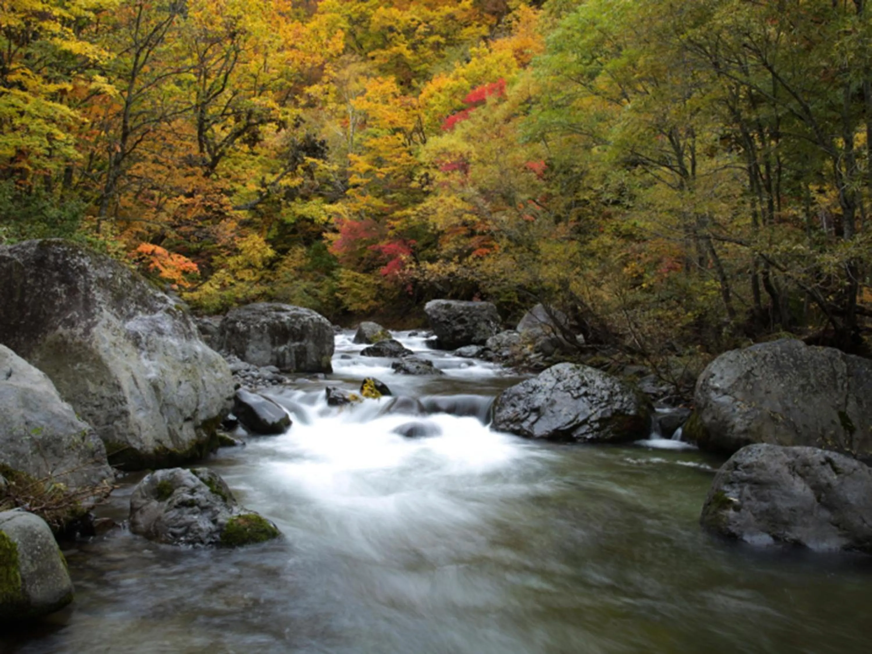 Nearby landmark in Ishinoyu Lodge