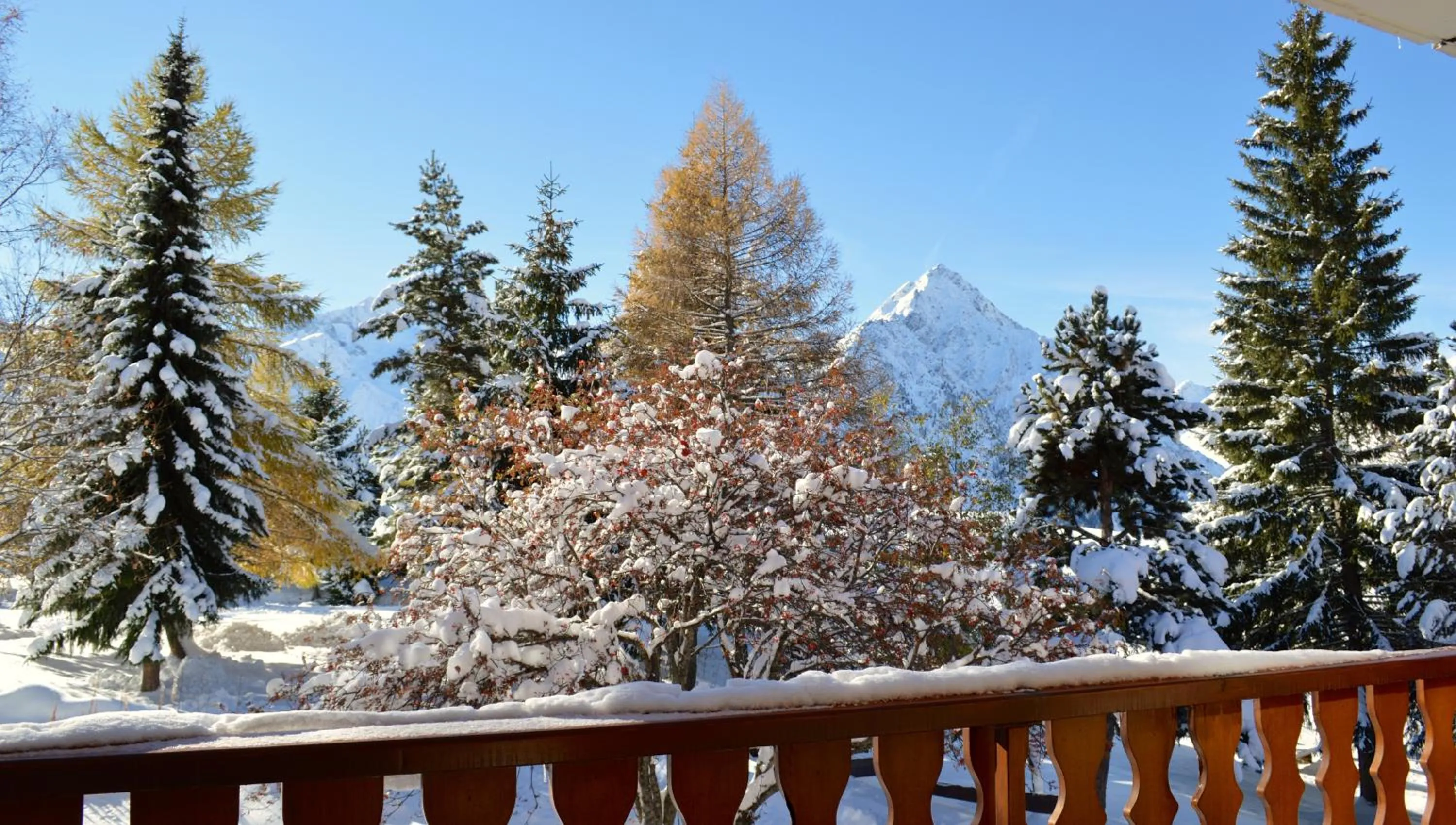 Balcony/Terrace in Hôtel Serre Palas