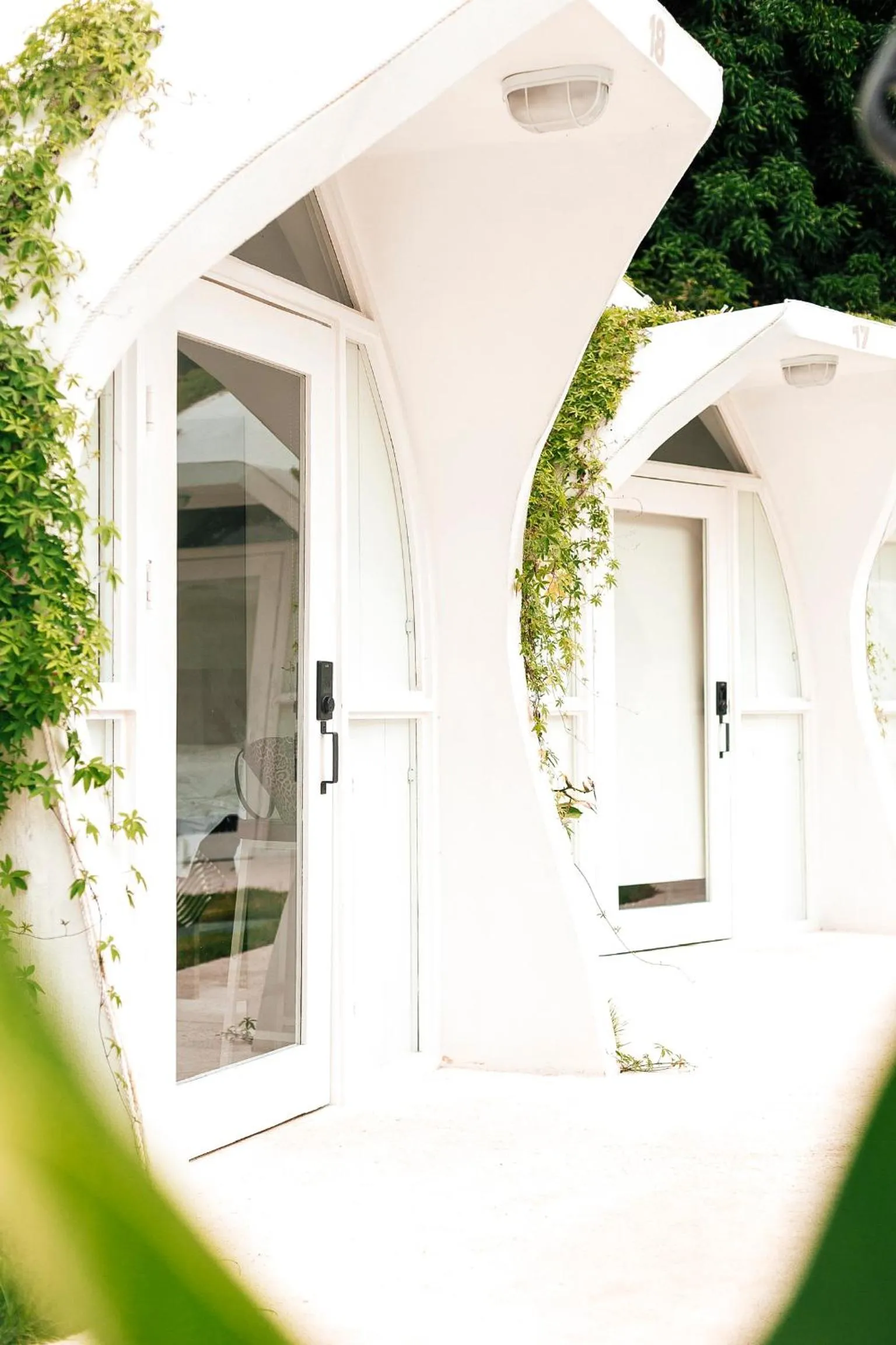 Garden view in Igloo Beach Lodge
