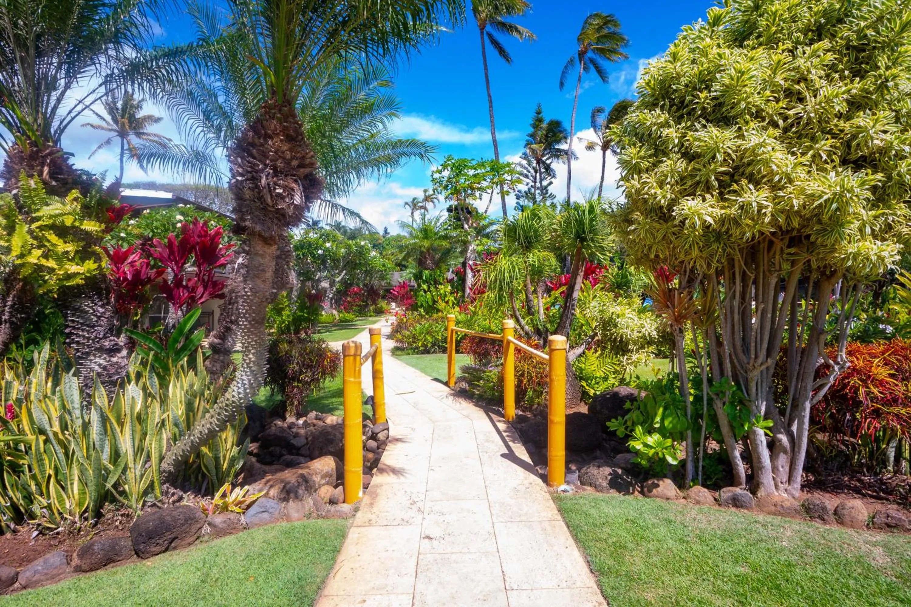 Natural landscape in The Mauian Hotel