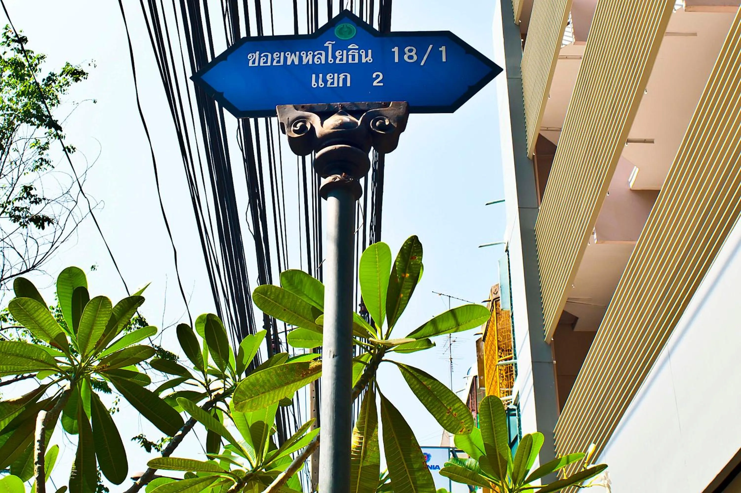 Logo/Certificate/Sign in G9bangkok