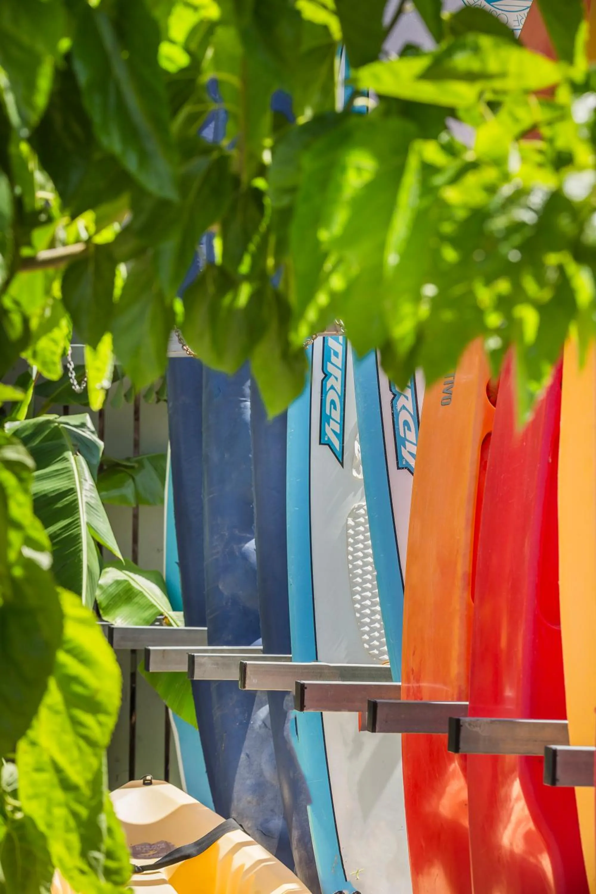 Sports in F ZEEN Kefalonia