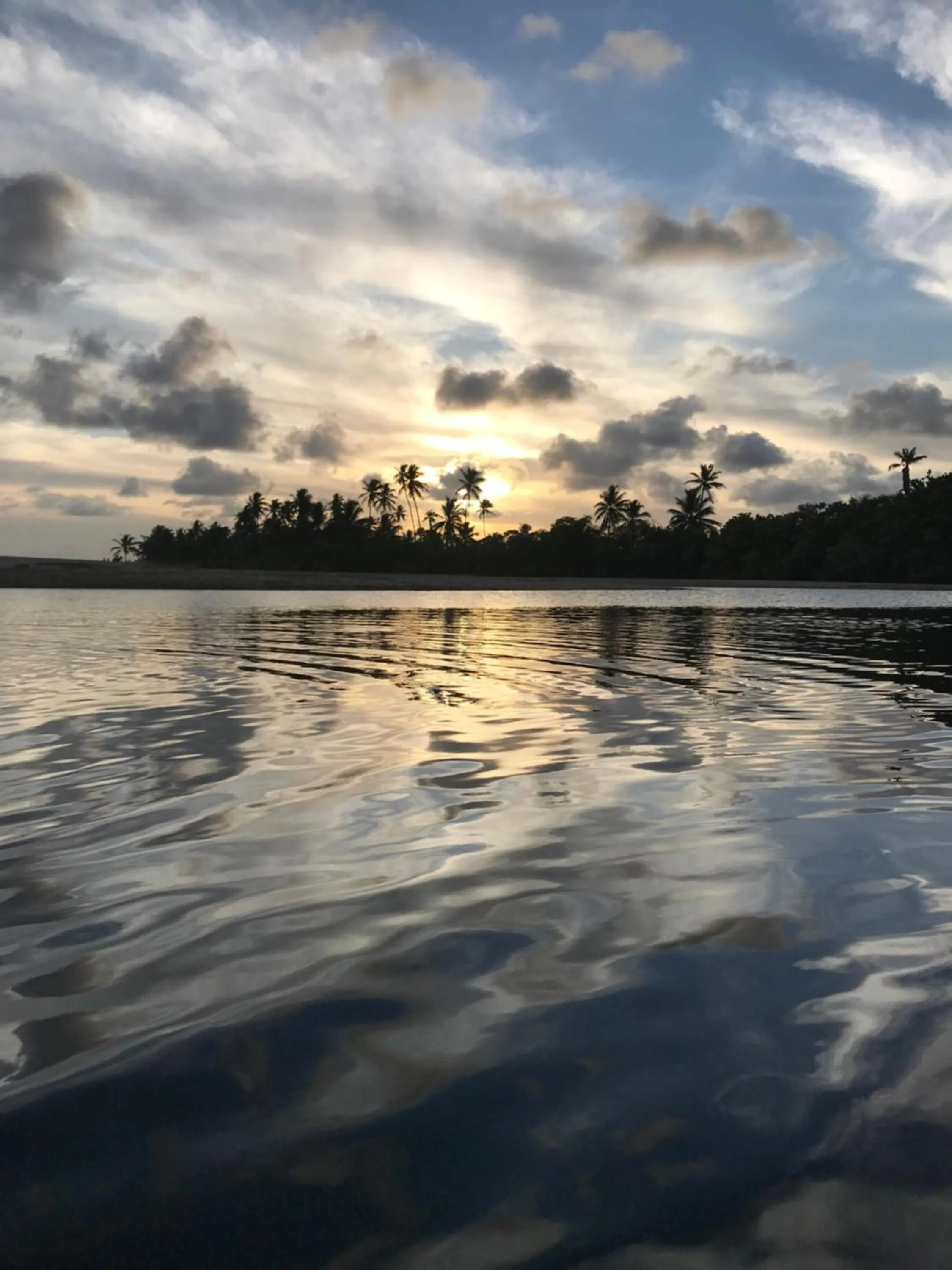 Beach in Casa Boha Praia do Forte