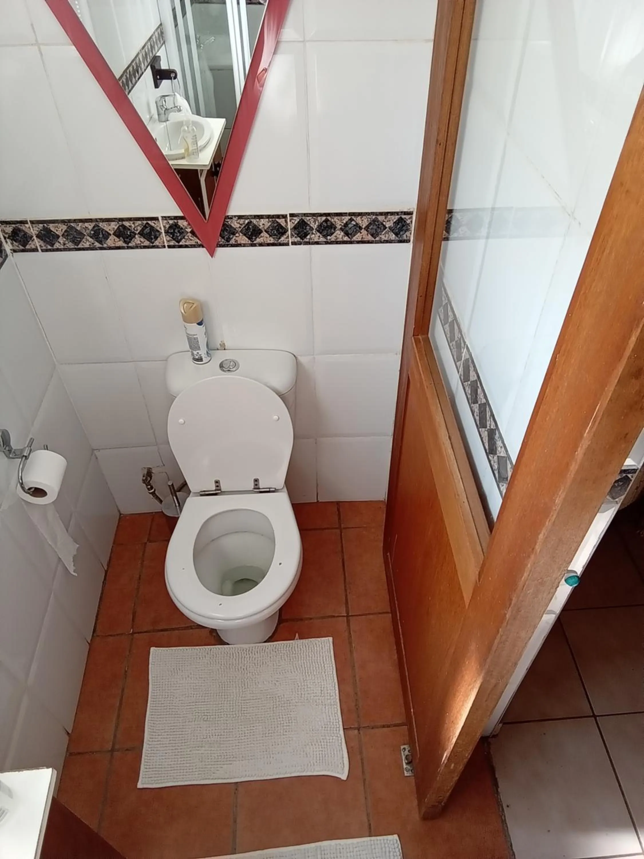 Toilet in Kgatholoha guest house