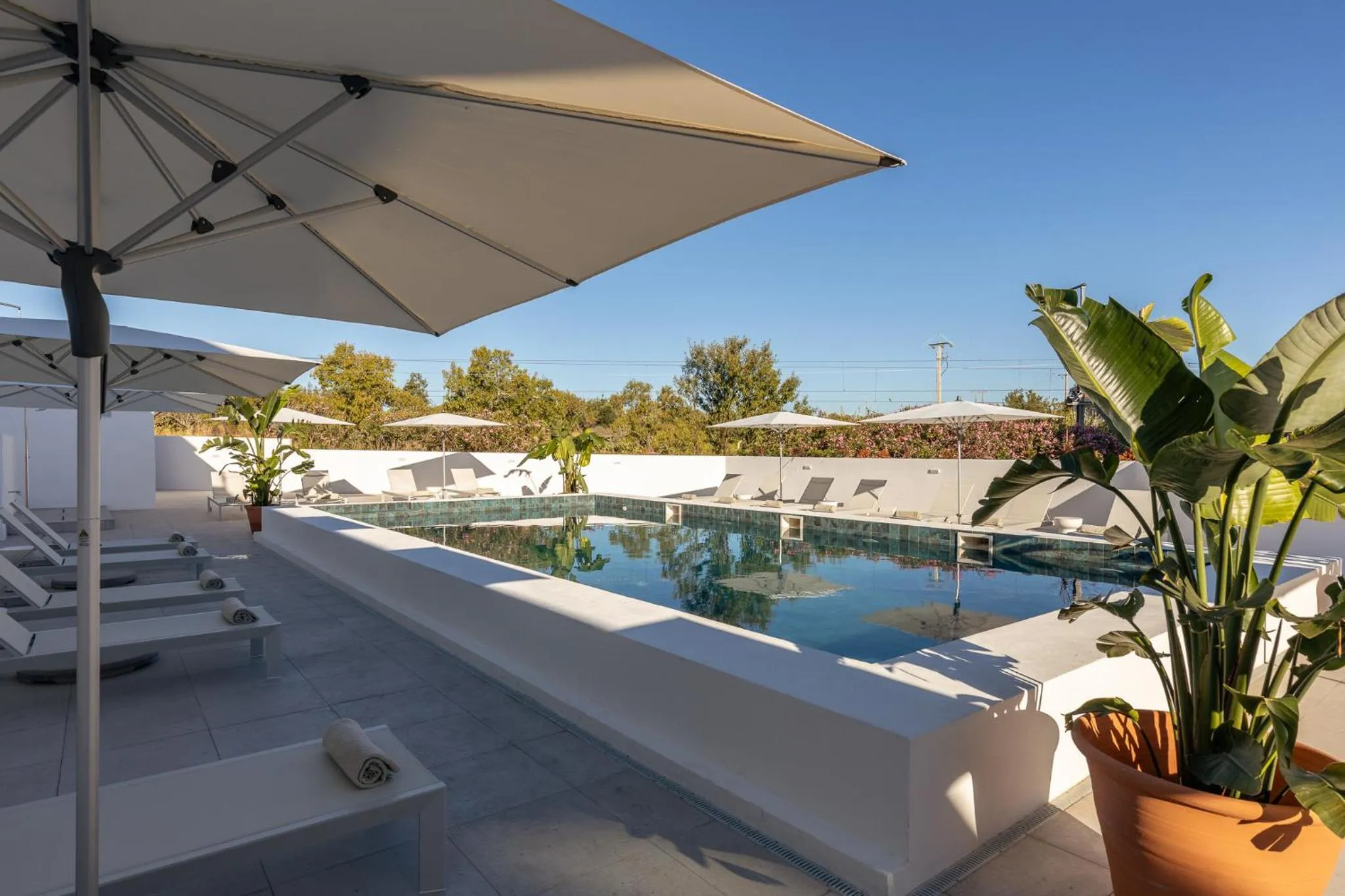 Swimming pool in Estudios Salinas - Fuseta