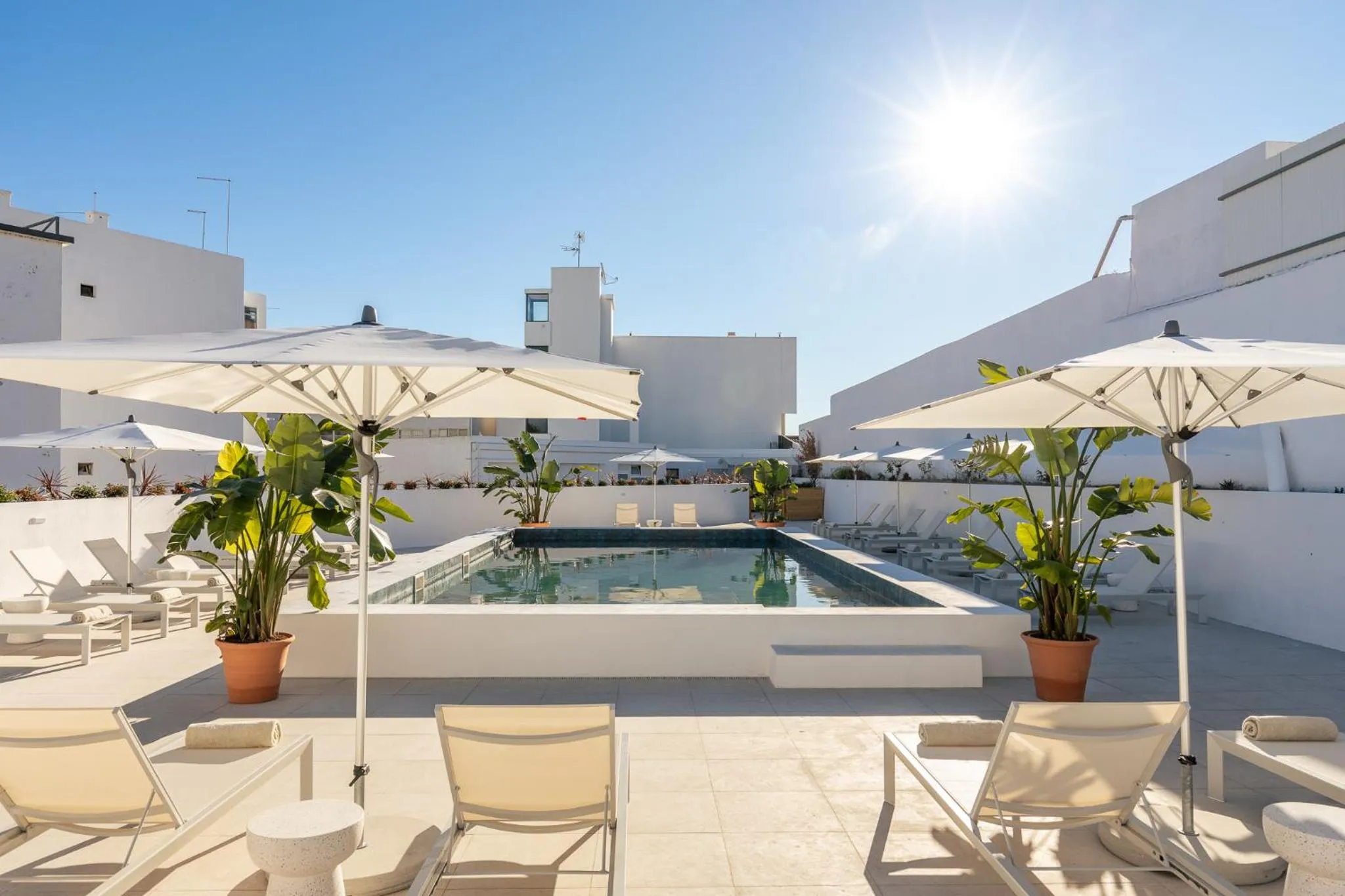 Swimming pool in Estudios Salinas - Fuseta