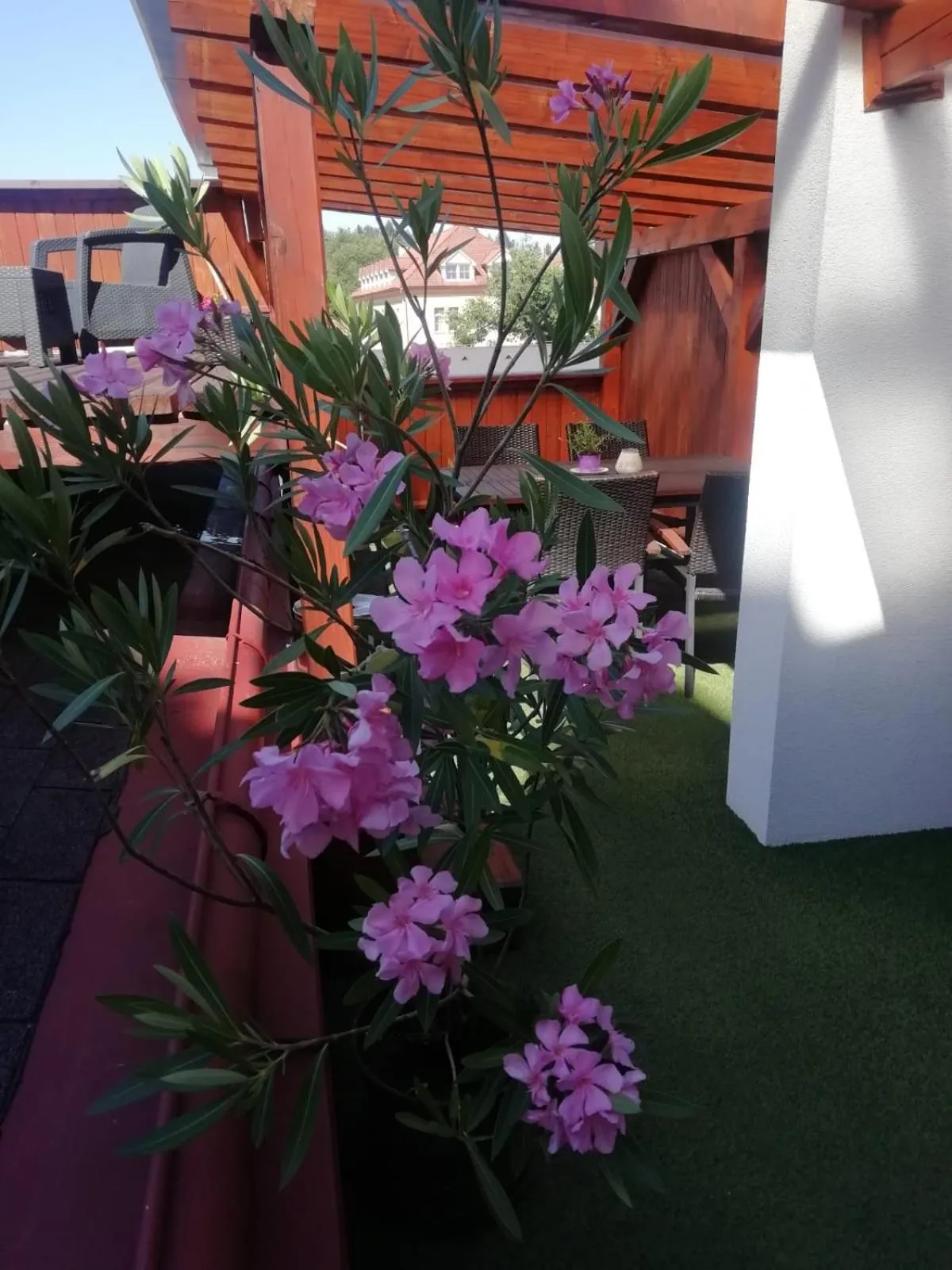 Penzion U Papoušků