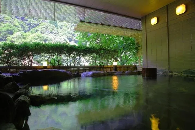 Hot Spring Bath in Enraku