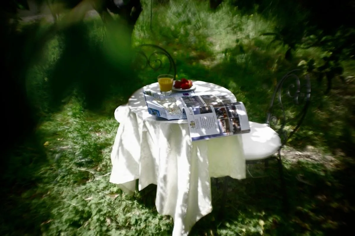 Garden in Il Giardino Degli Aranci