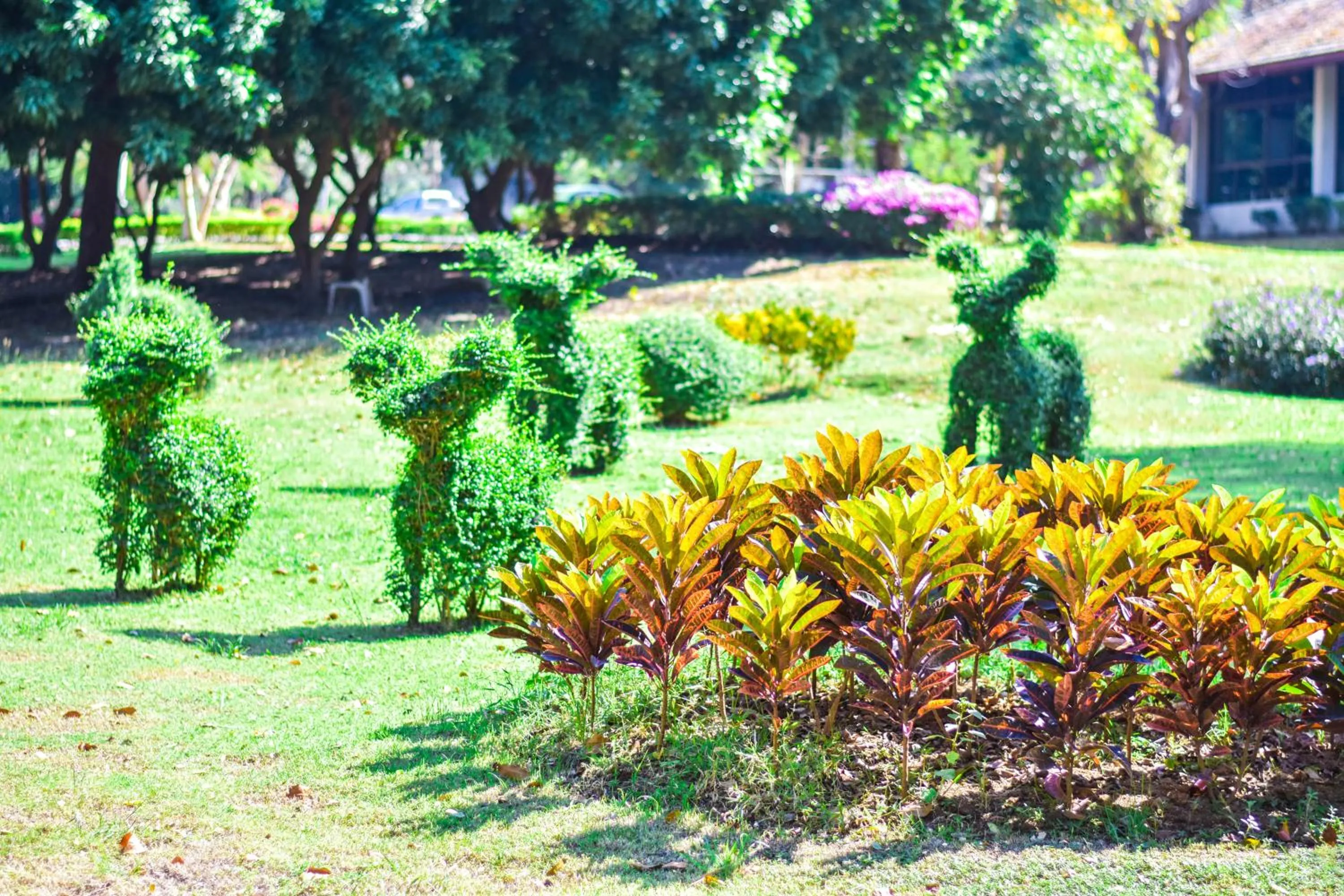 Muaklek Paradise Resort