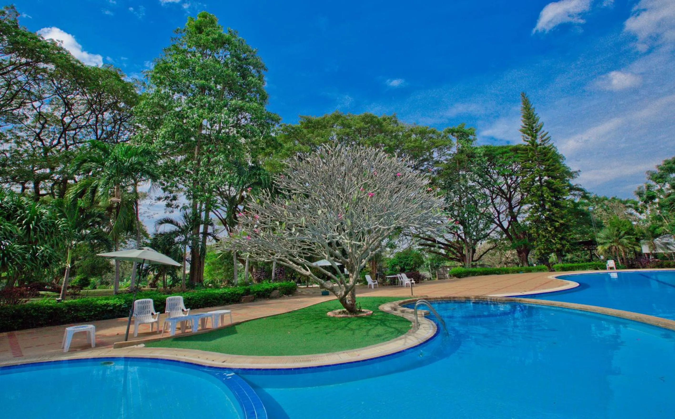 Swimming pool in Muaklek Paradise Resort