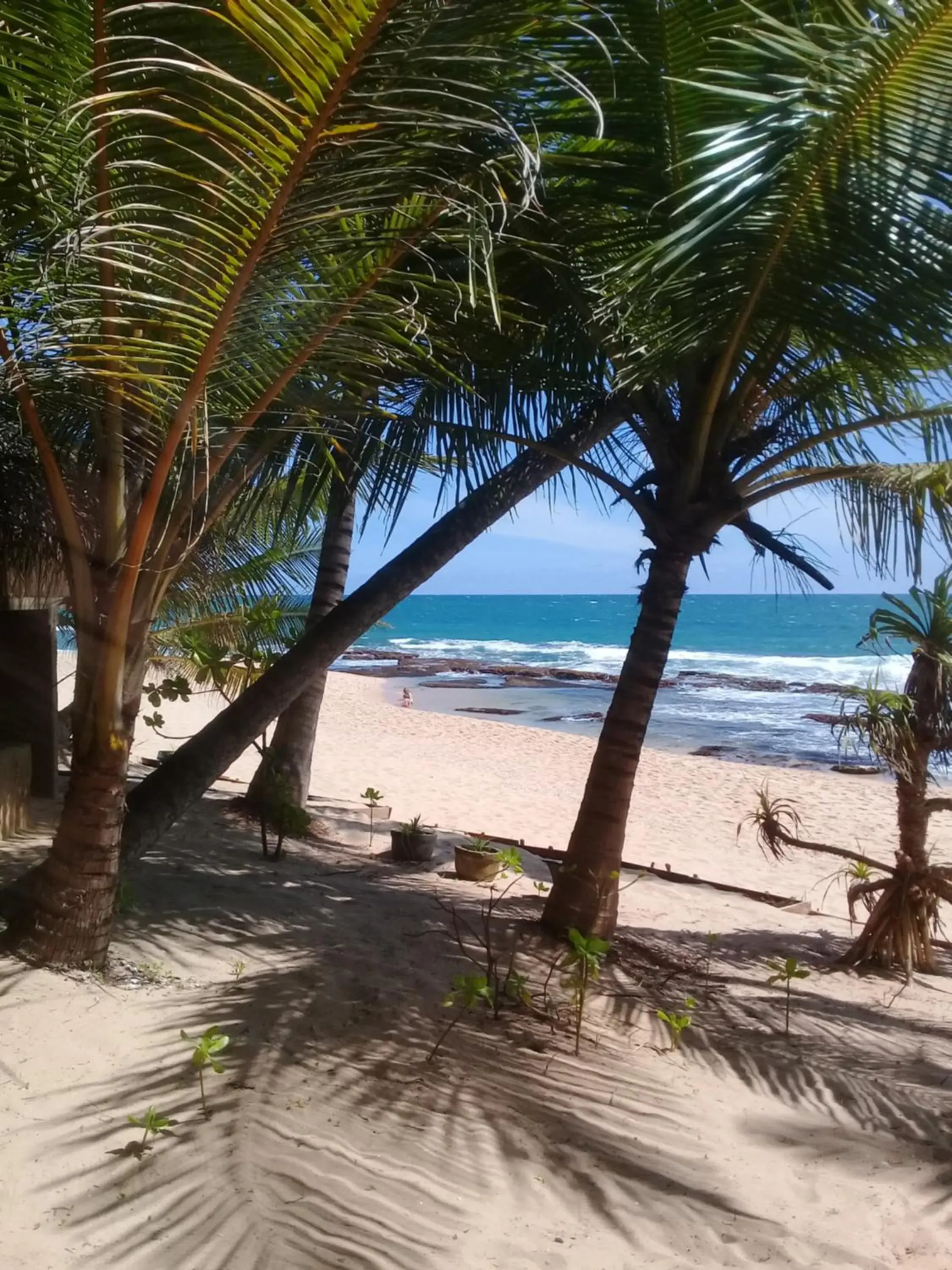 Family Bungalow in The Alpha Monkey hotel & Tree house Family Bungalow in The Alpha Monkey hotel & Tree house