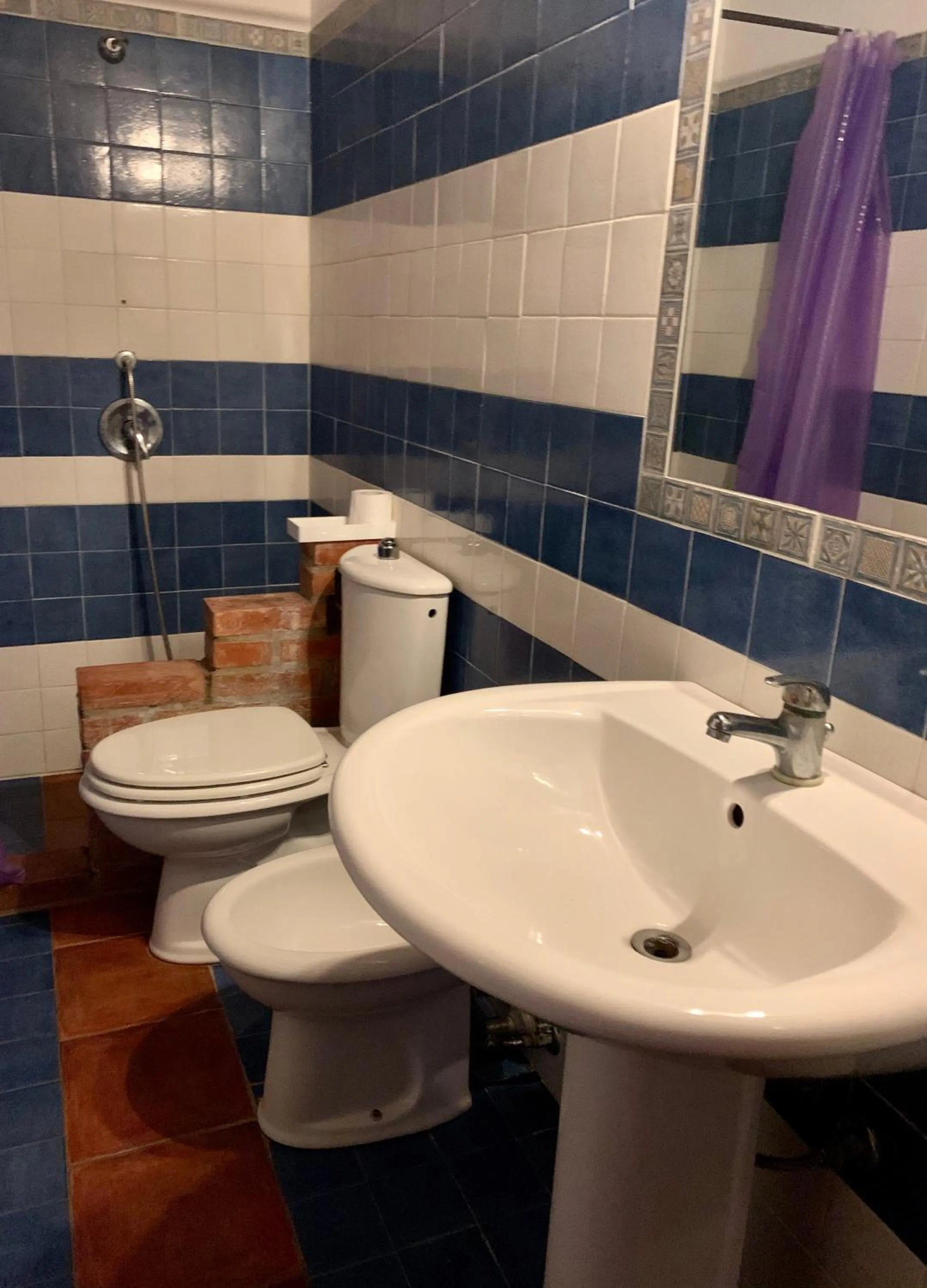 Toilet in Aranceto Hotel