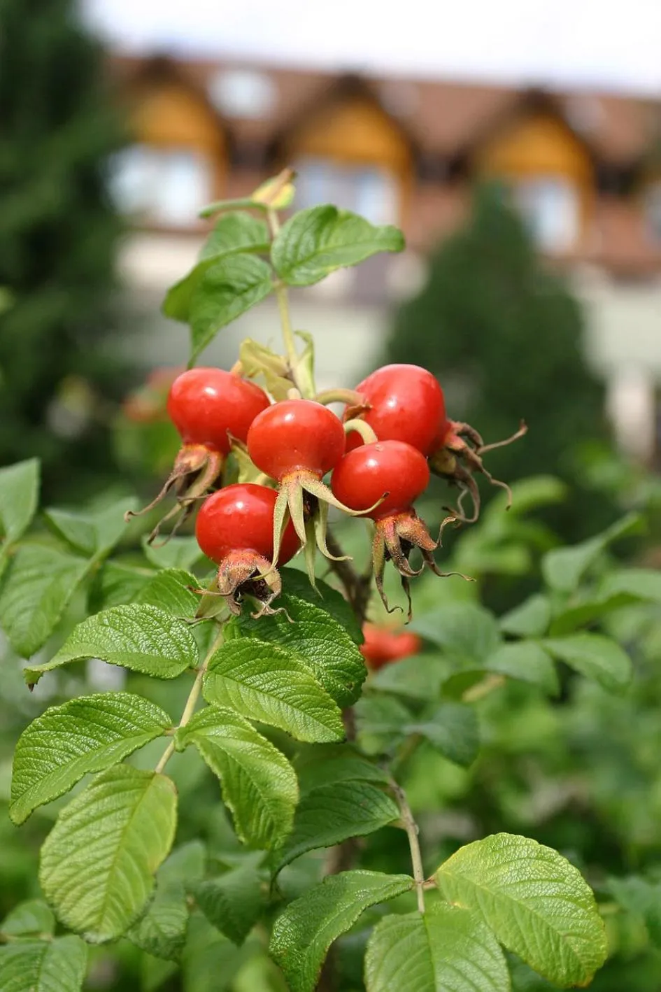Other in Landhotel Reckenberg