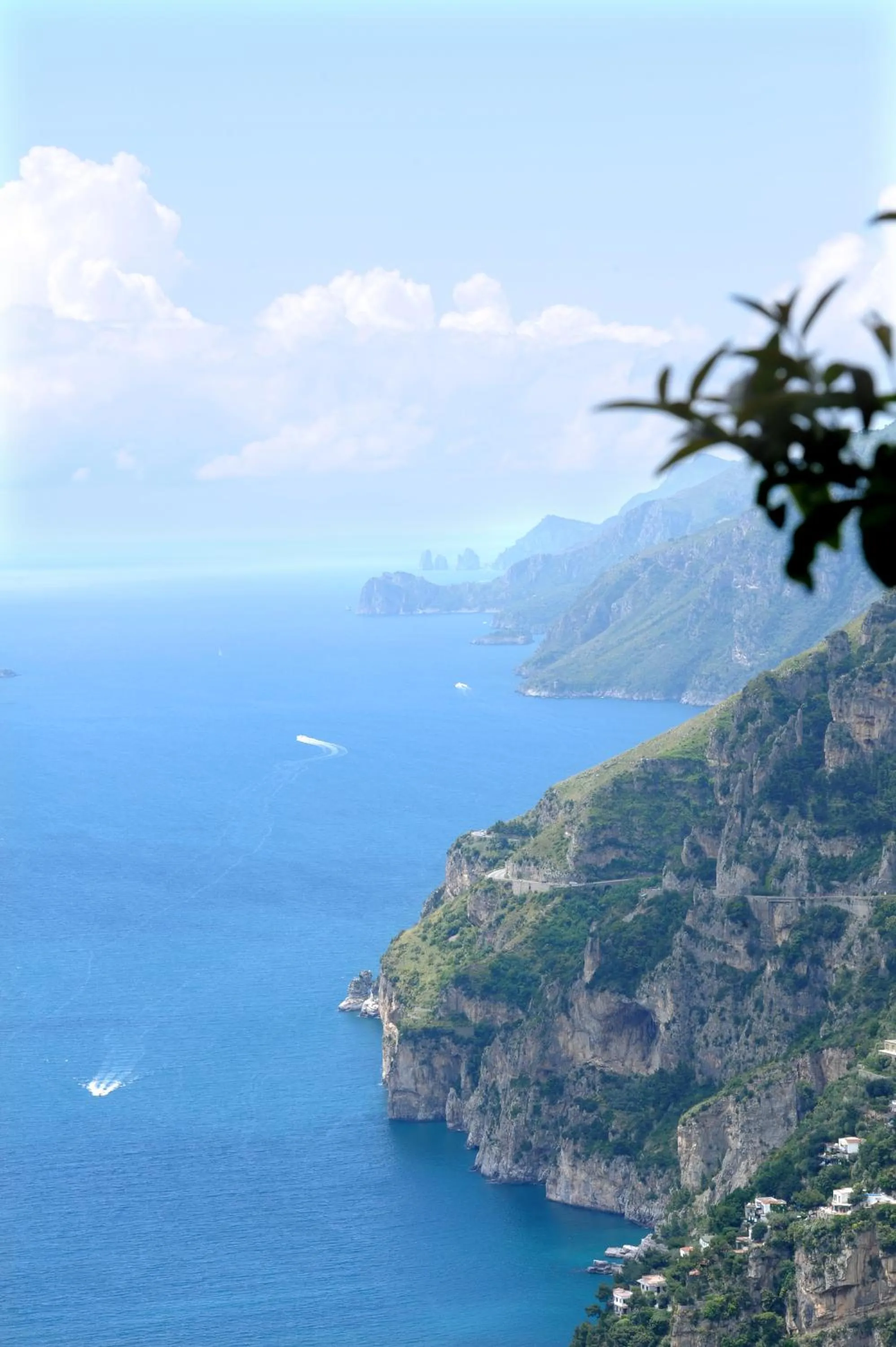 Natural landscape in Fattoria La Tagliata