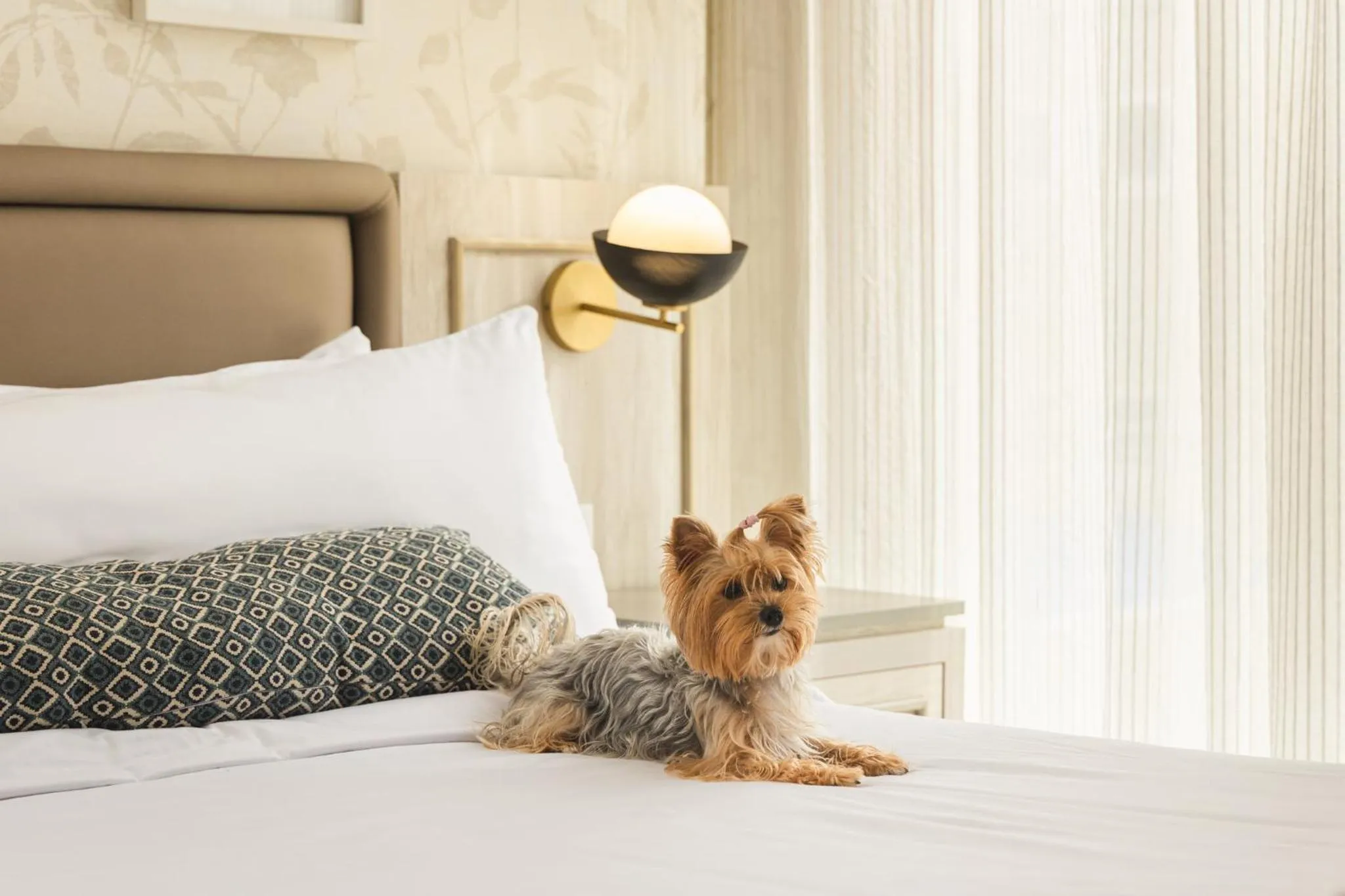 Bed in Ermita Cartagena, a Tribute Portfolio Hotel