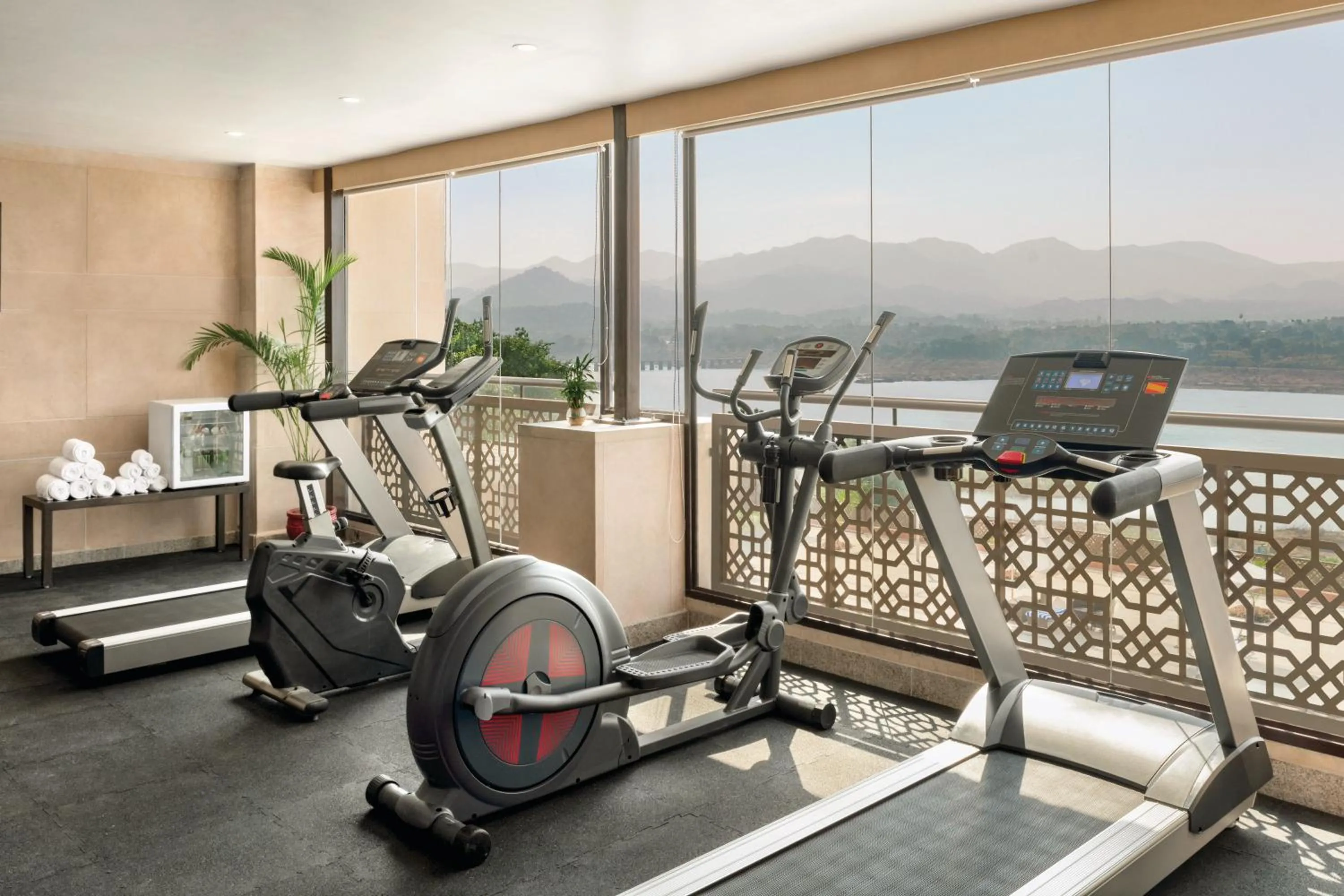Fitness centre/facilities in Ramada Encore by Wyndham Statue of Unity