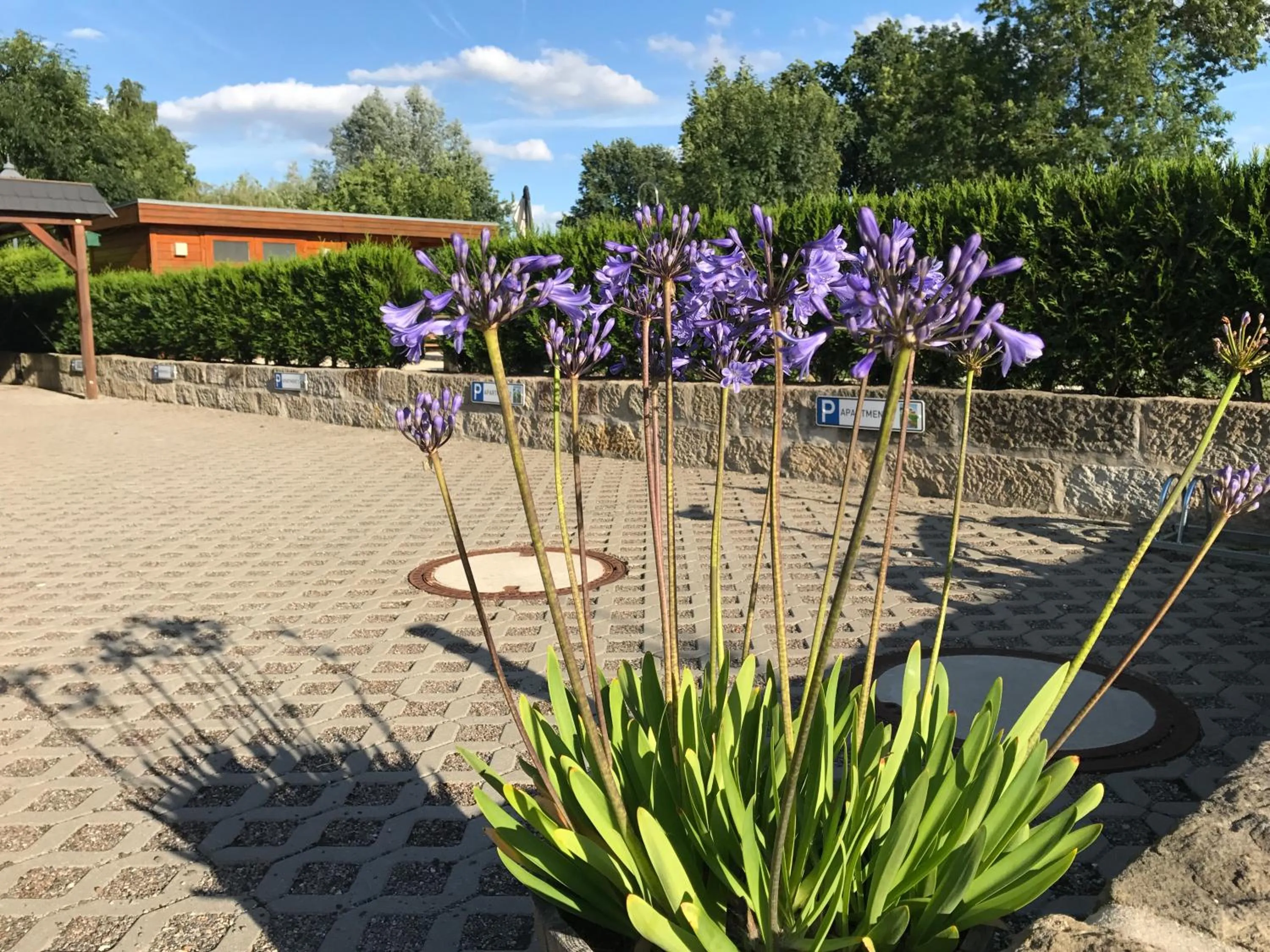 Property building in Kaitzbach-Idylle
