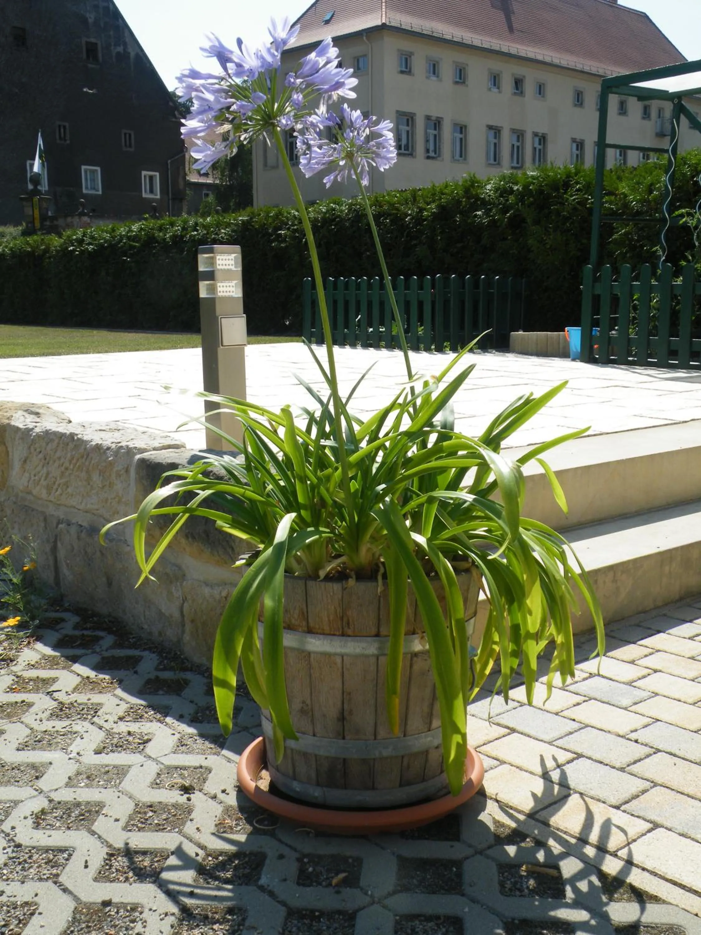 Patio in Kaitzbach-Idylle
