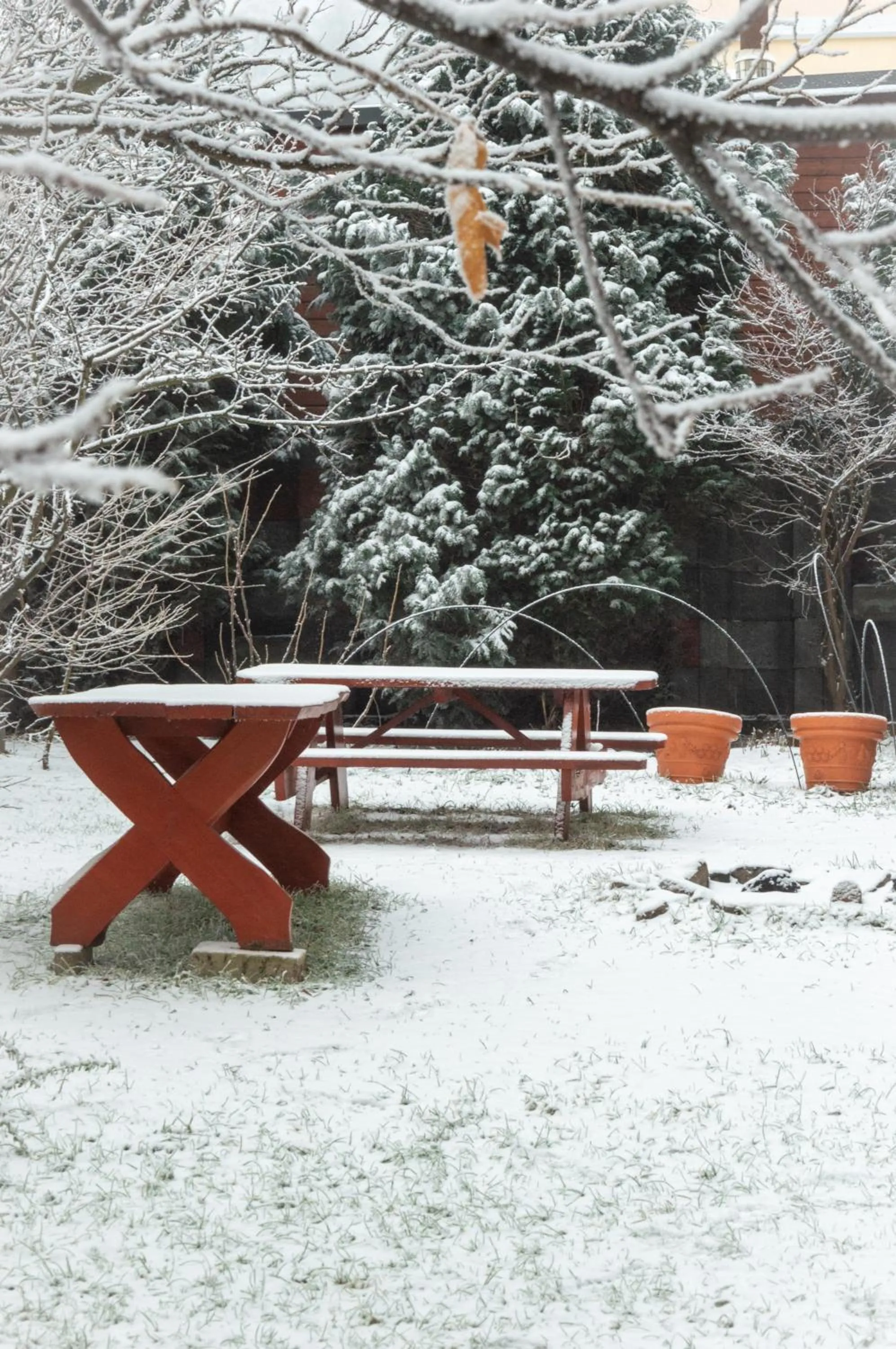 Garden in OW Patryn