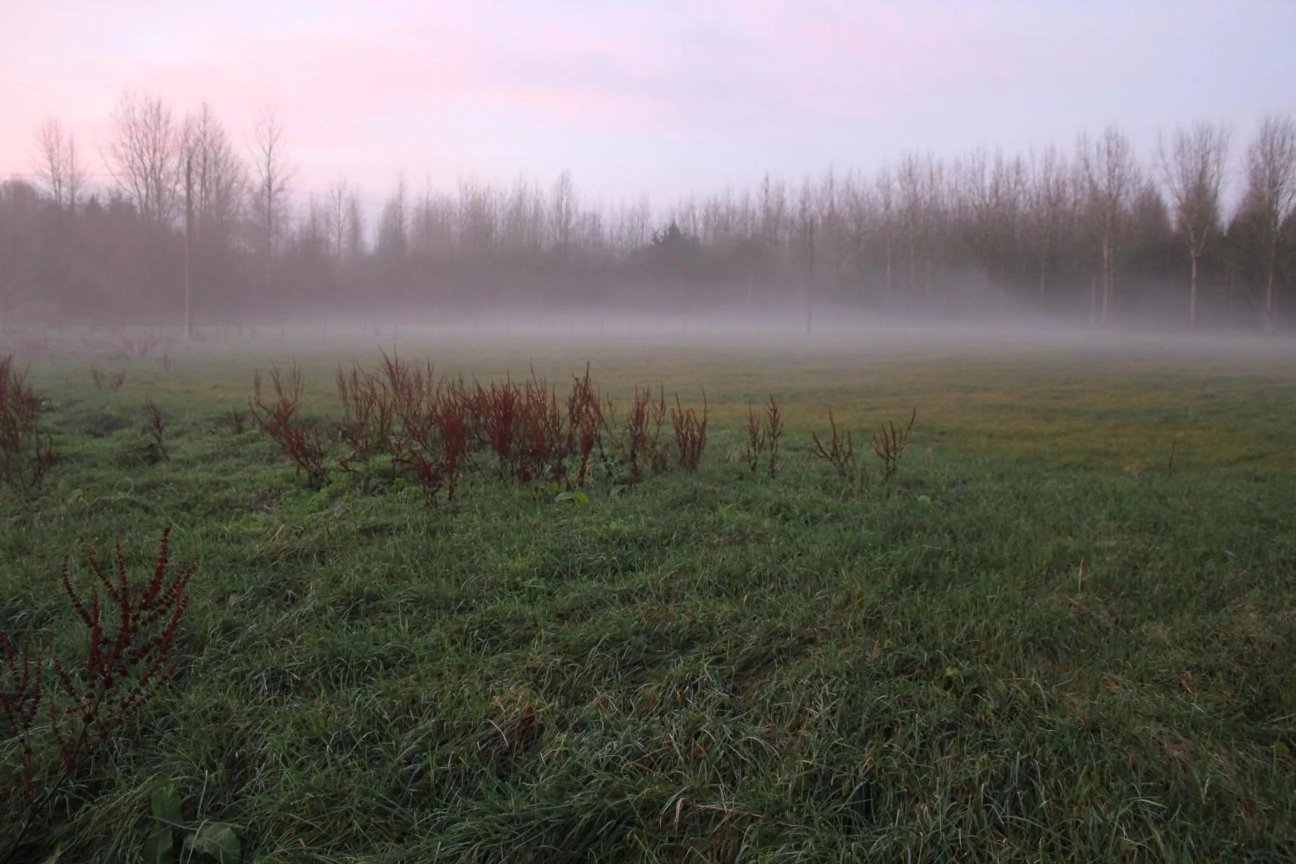 Natural landscape in B&B Leybeeckhof