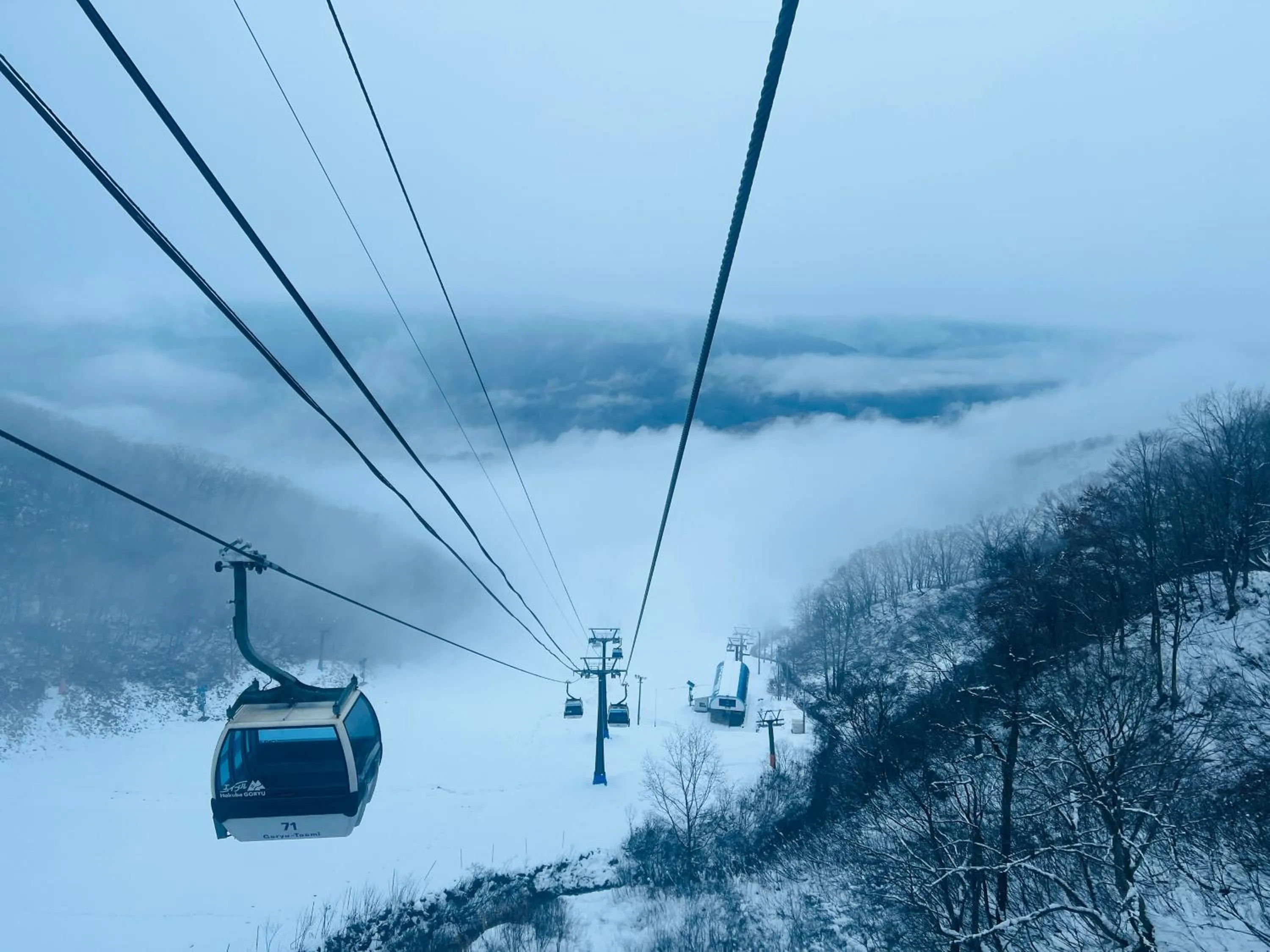 Property building in Snow Elephant