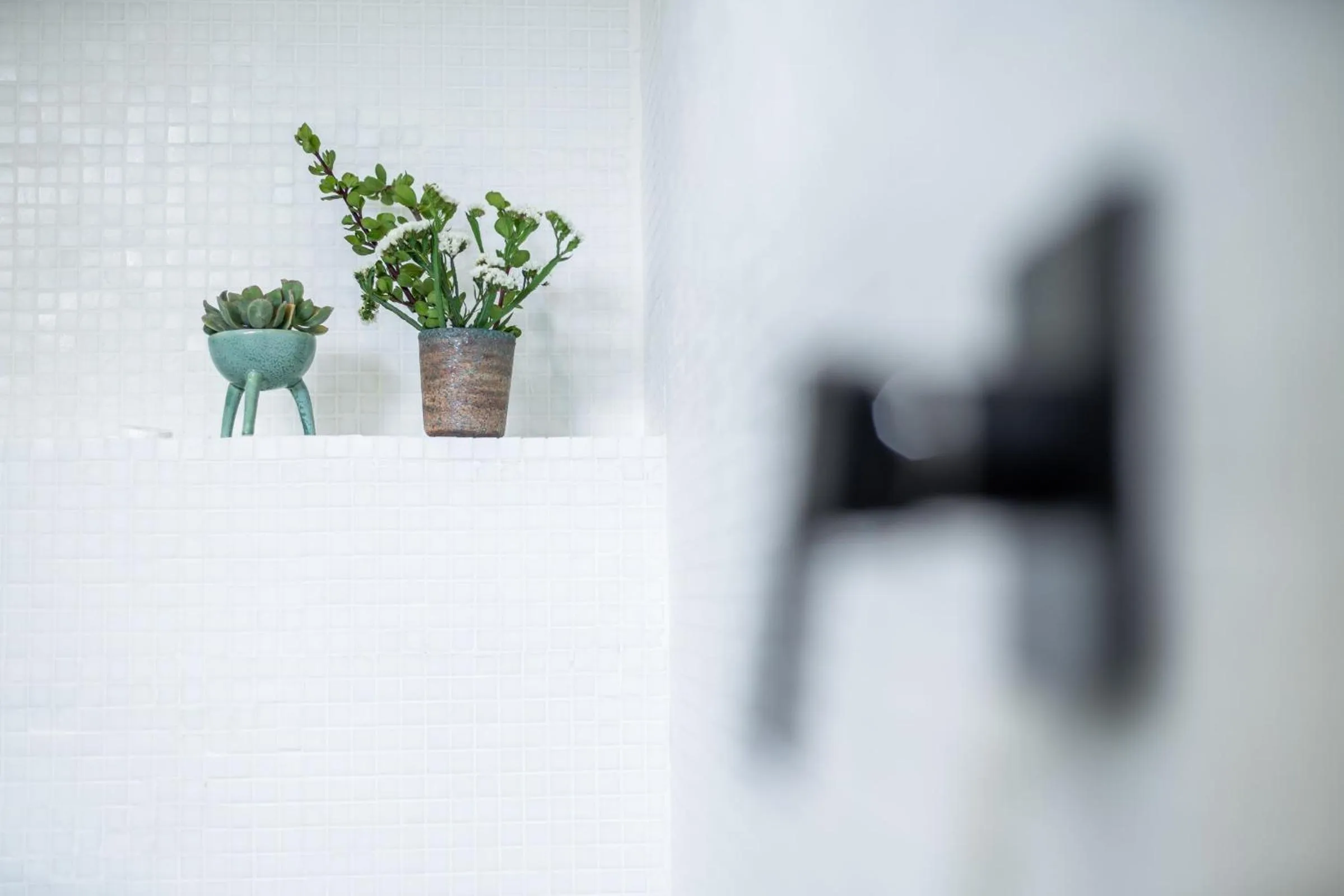 Welgeluk Feather Palace