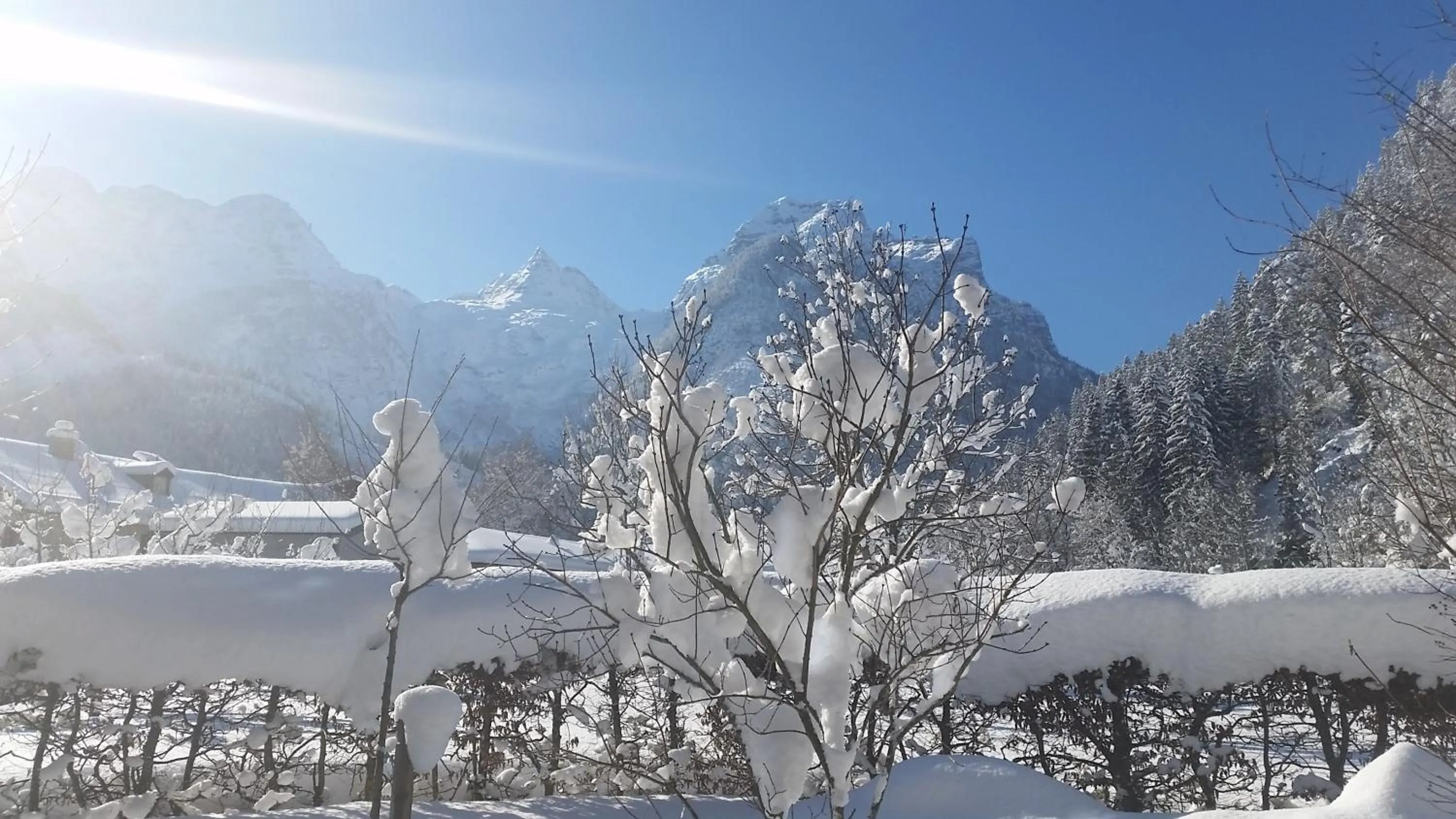 Day in Hotel - Wirts'haus "Zum Schweizer"