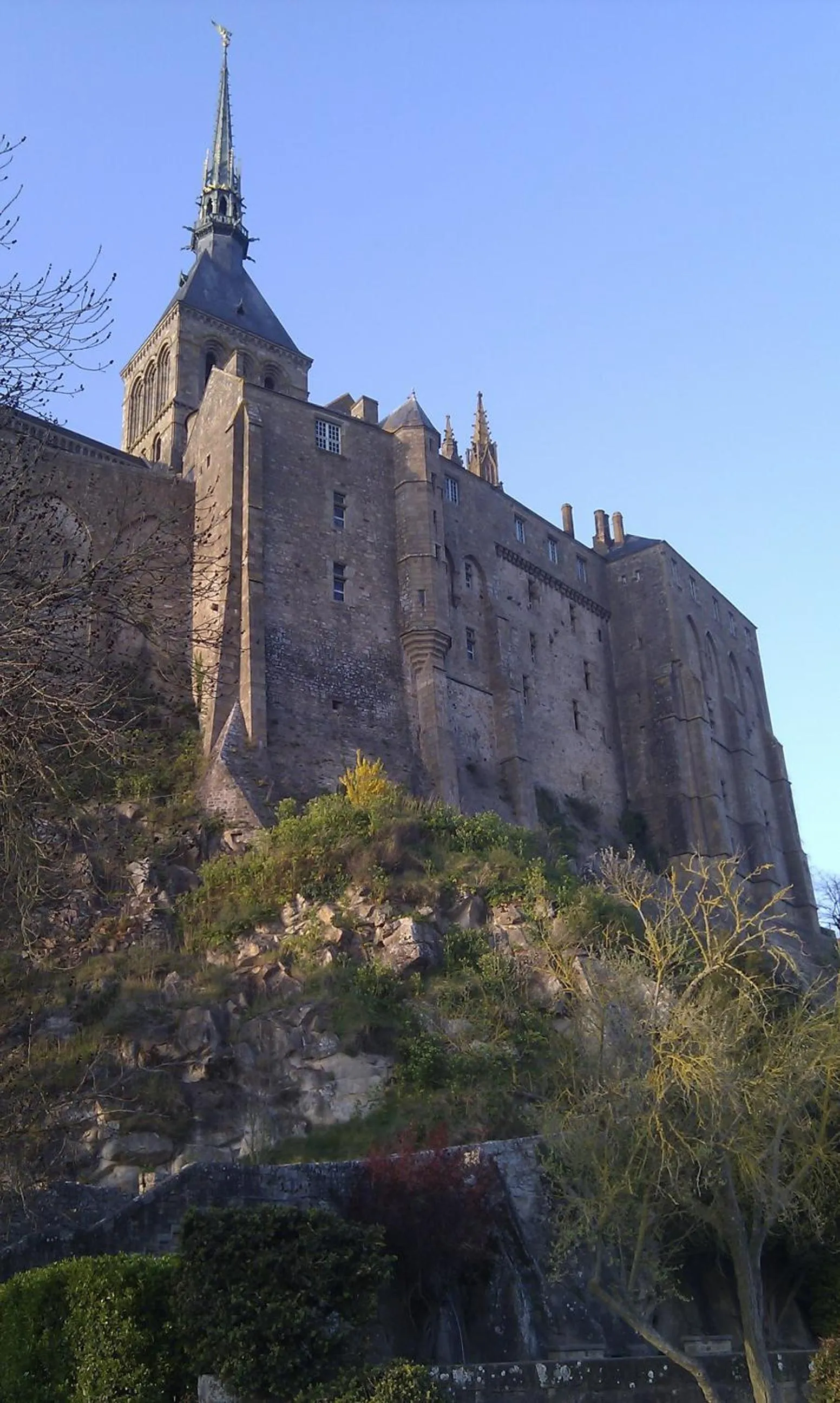 Area and facilities in Hotel De France
