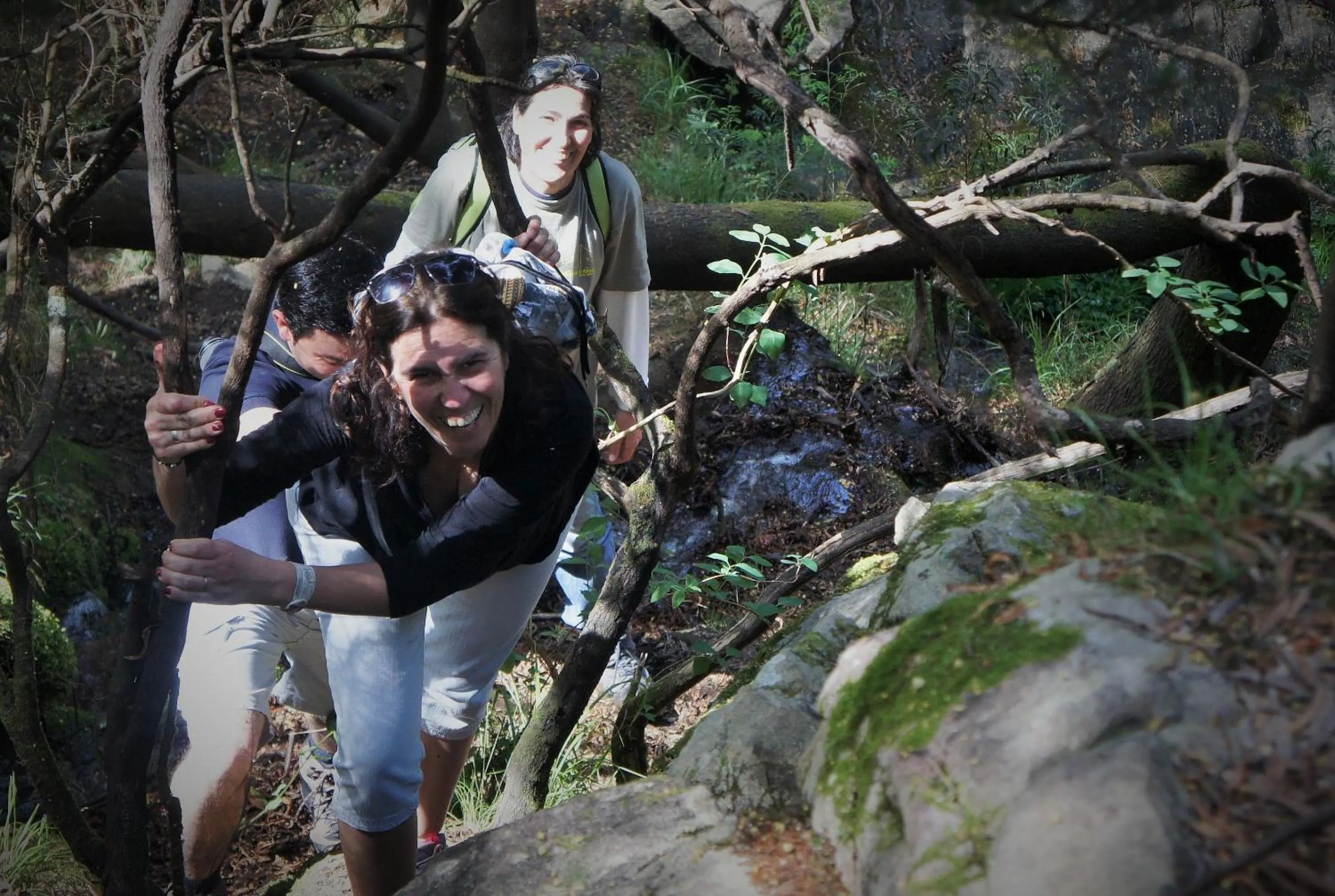 Guests in Quintinha D`Arga