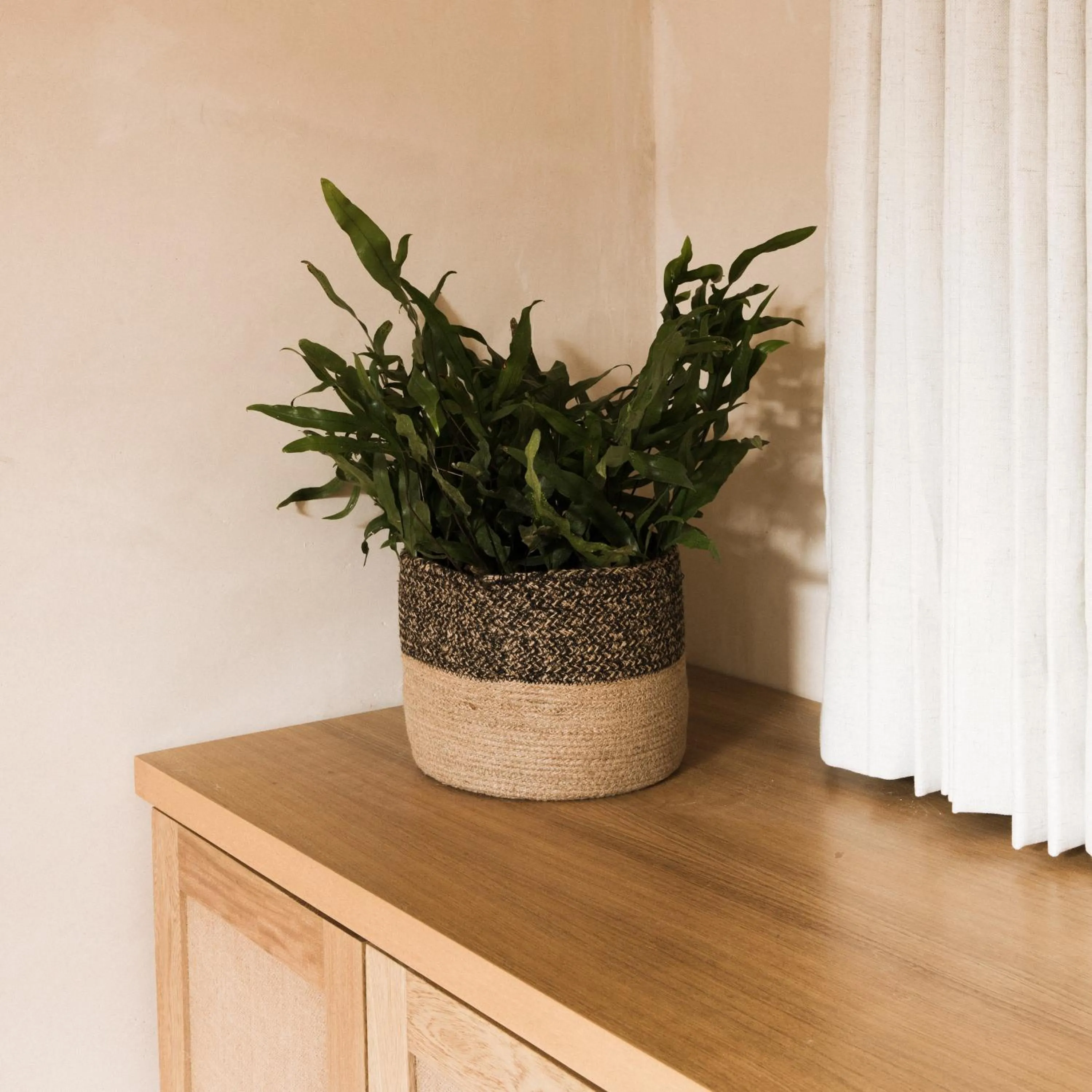 Decorative detail in Casa Montore by Barrio Mexico